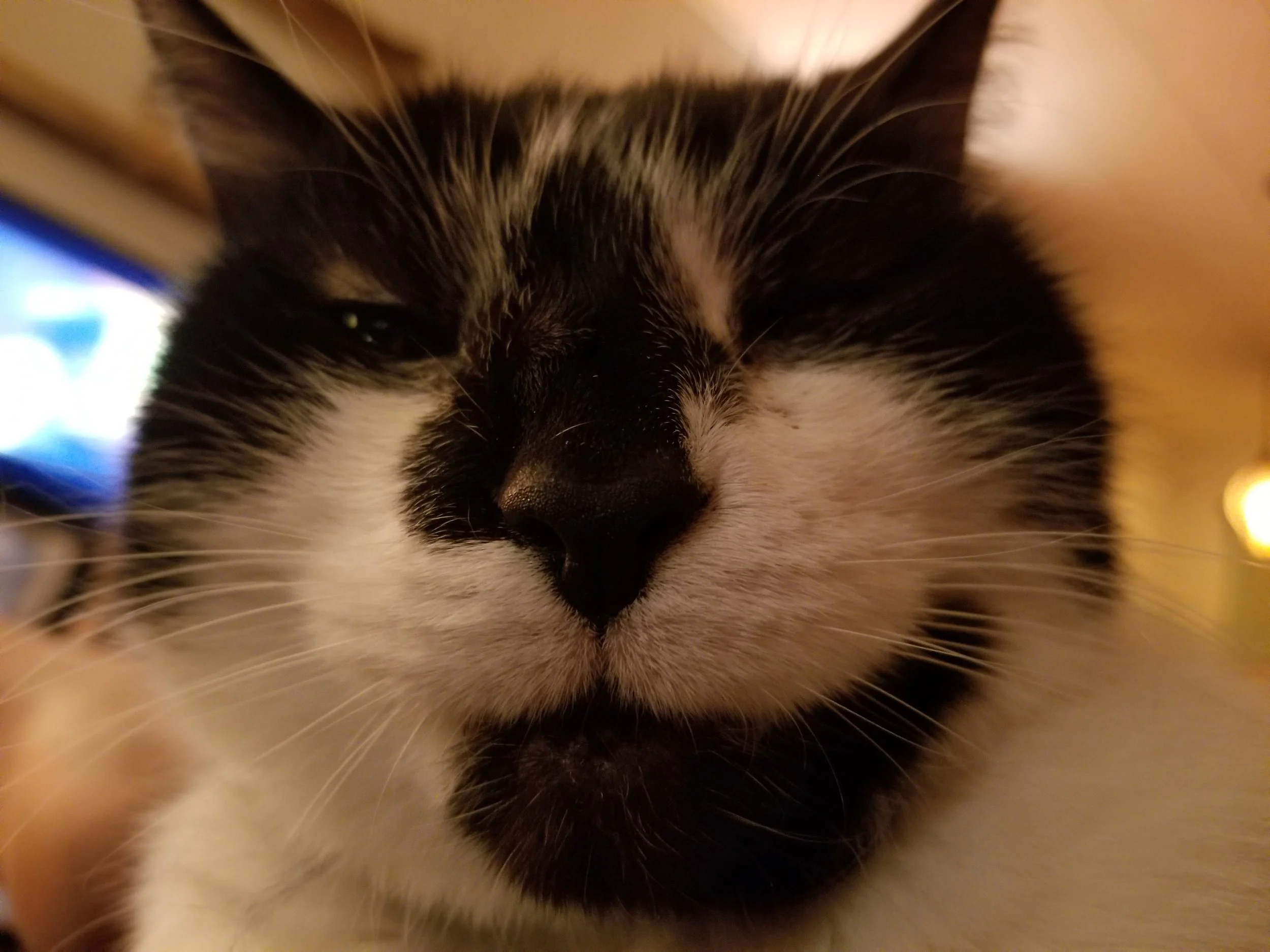 20190327_204409.jpg