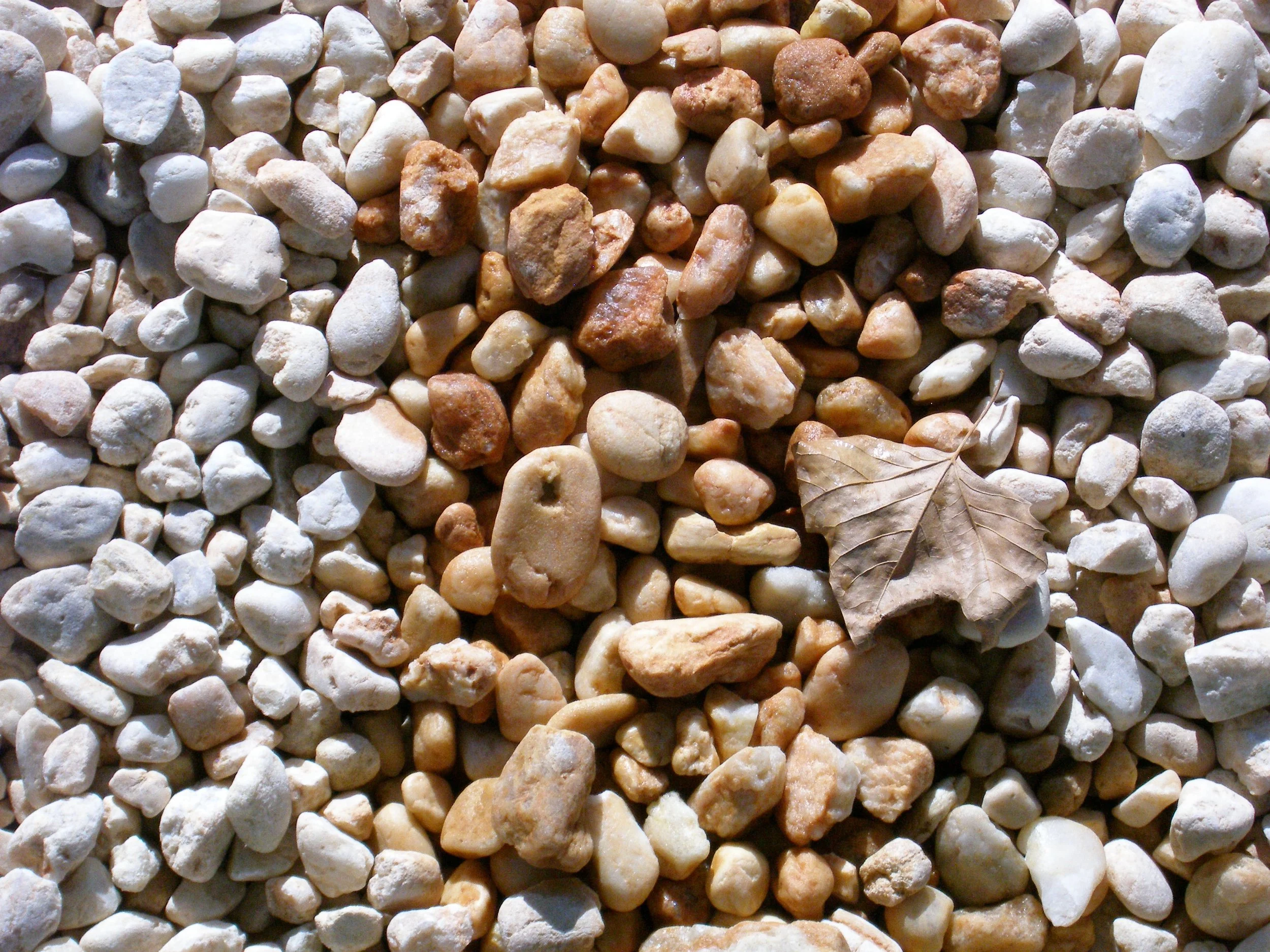 P1010059.JPG