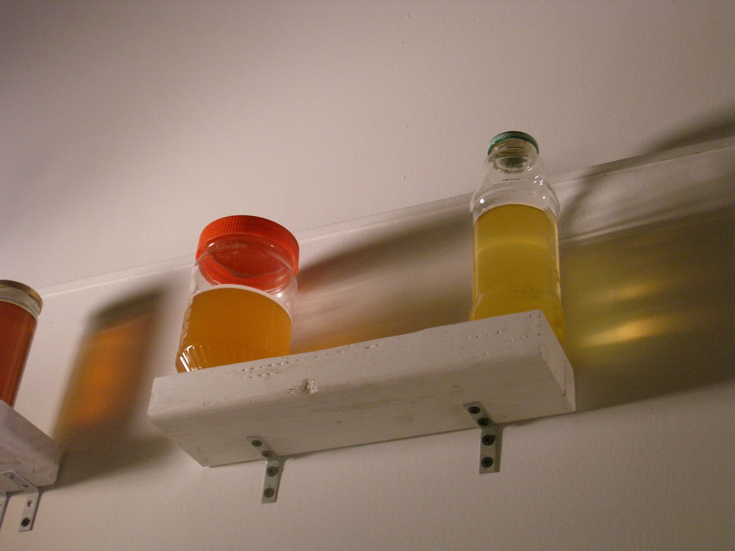 P1010087.JPG