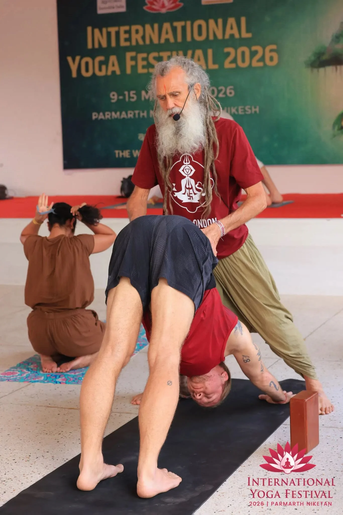 Alignment, Assists and Adjustments Training