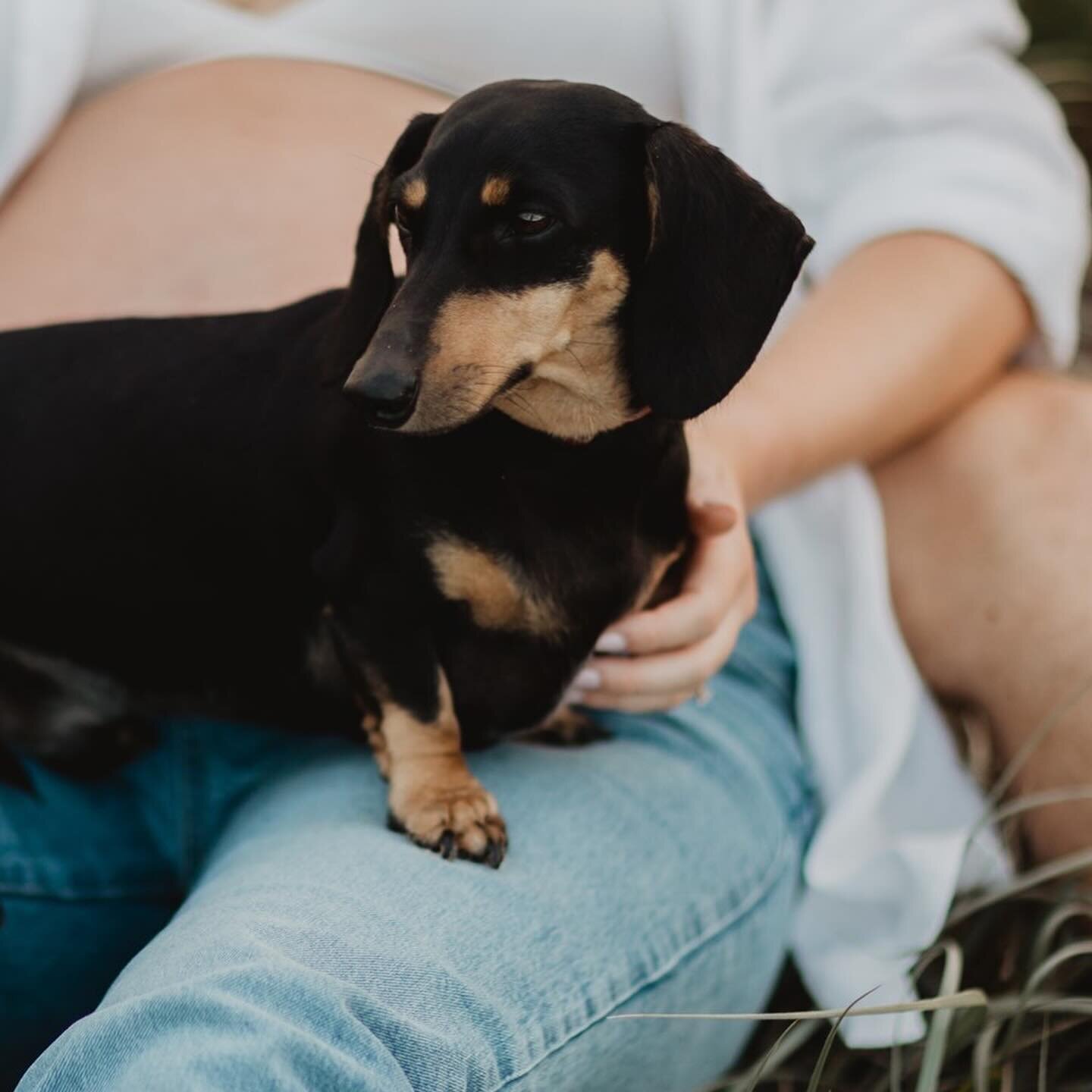 🐾 Can I bring my pet to the photoshoot? 

Absolutely YES! 📸 

I wholeheartedly believe in the bond between humans and their furry companions. Your pets are not just pets; they are cherished members of your family. They are absolutely welcome with o