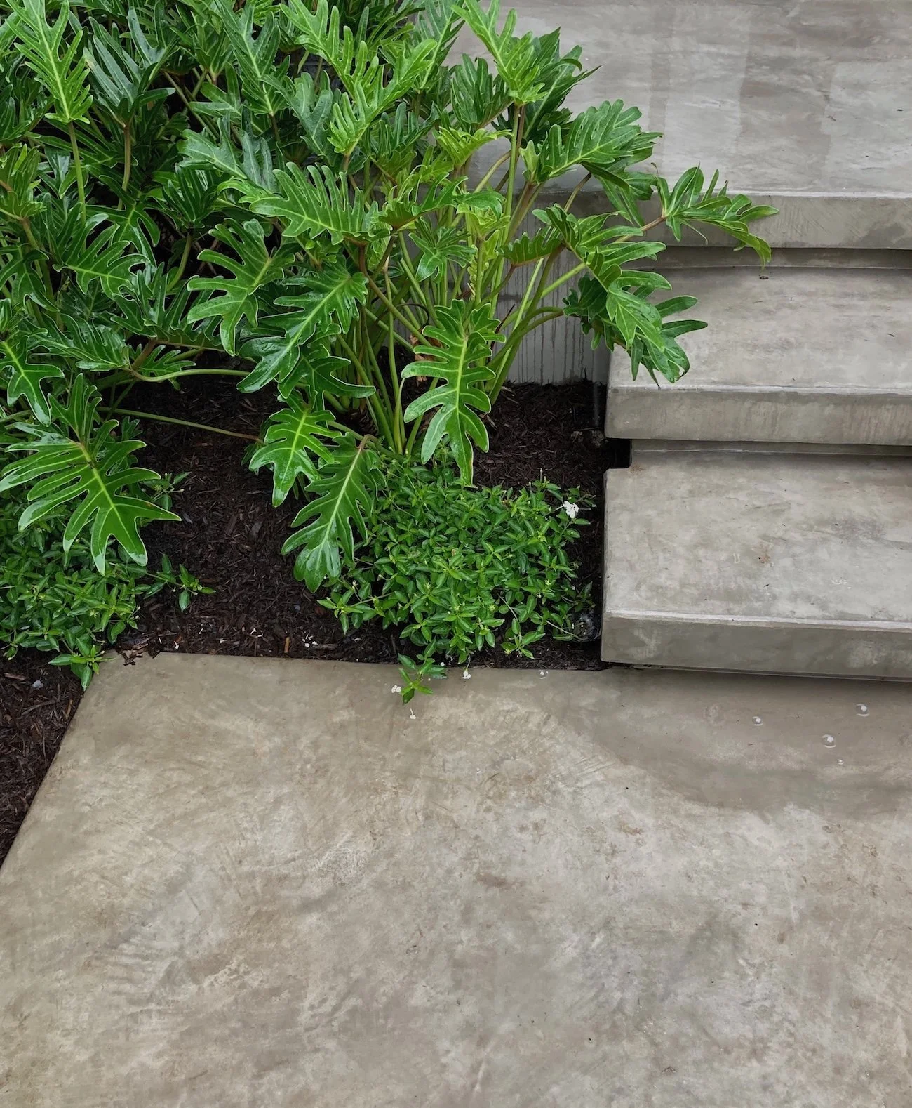 EXT_Steps_Green.jpeg