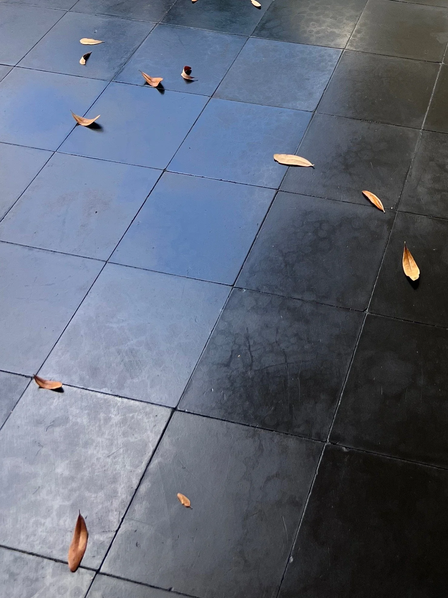 Project: The Menil House (Patio Restoration) | Architect: Philip Johnson (1951) | Renovation: Stern and Bucek Architects (2025)