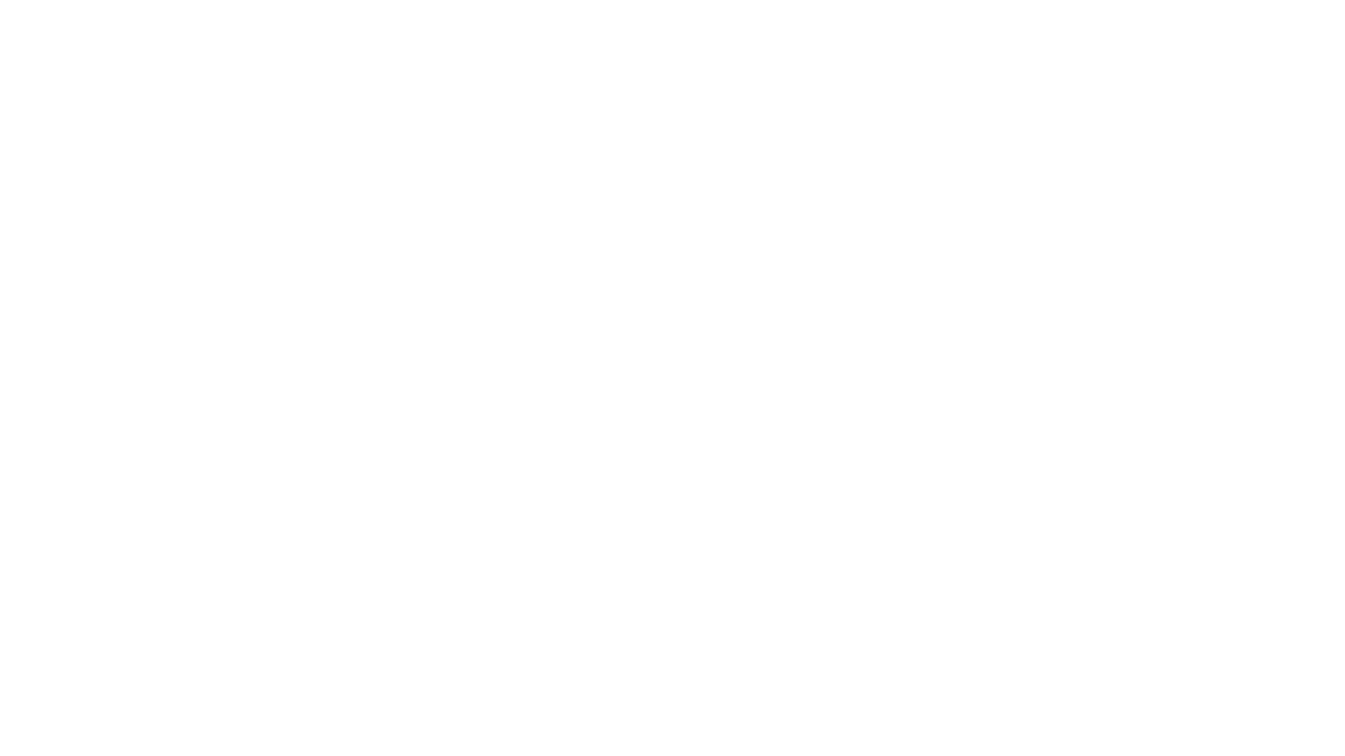 RADIO WOLF