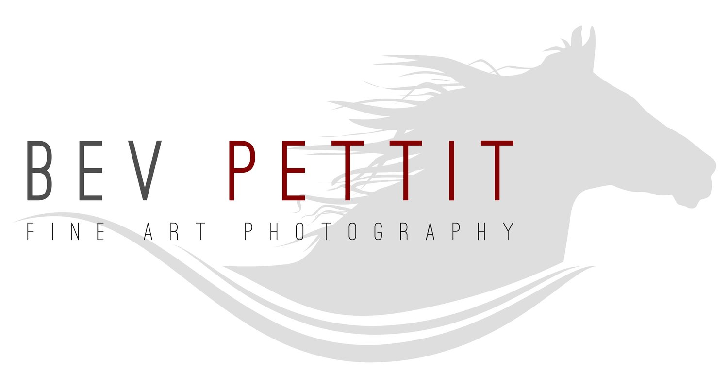 Bev Pettit Photography