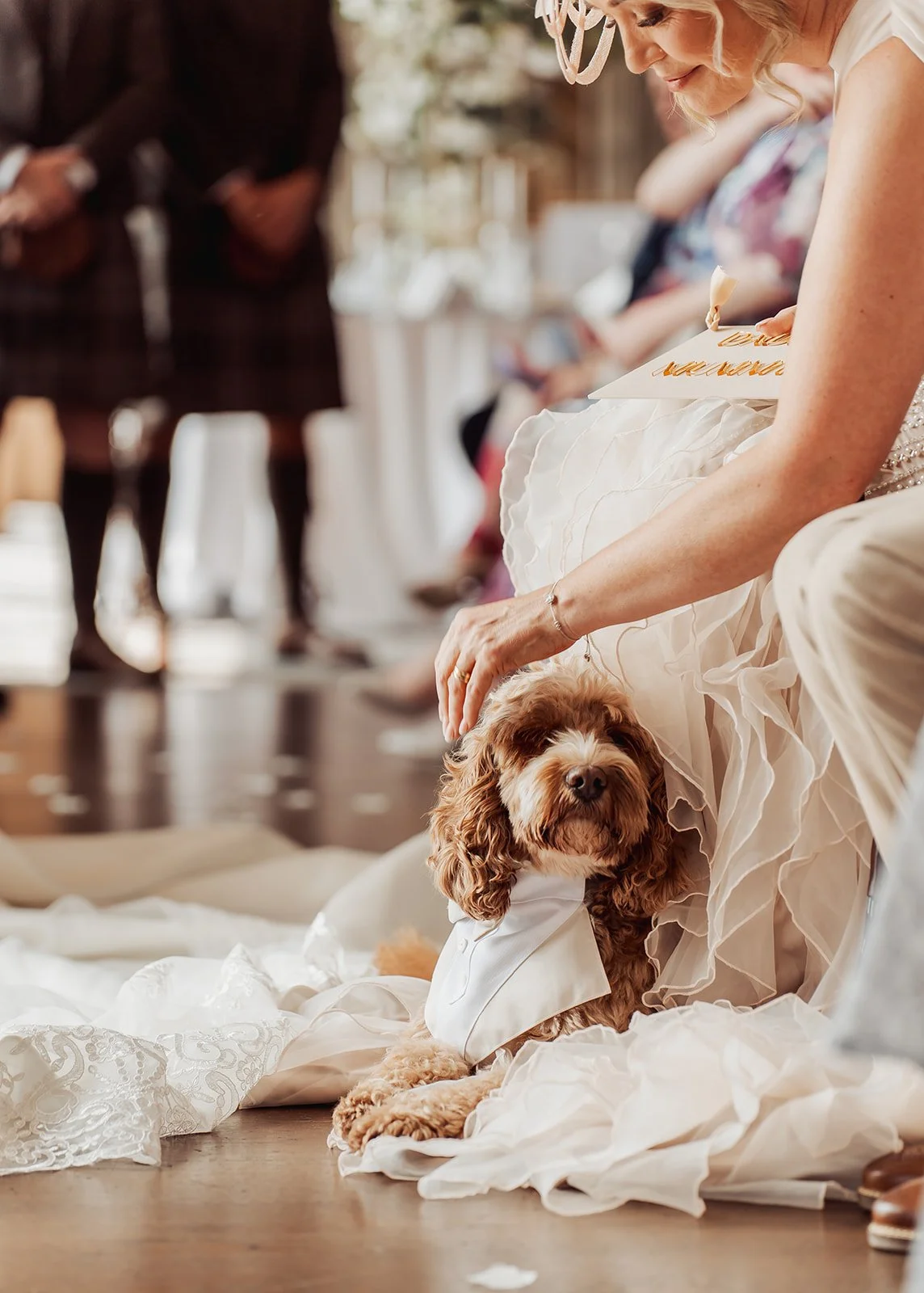 wedding-ceremony-enterkine-house-ayrshire-david-long-dog.jpg