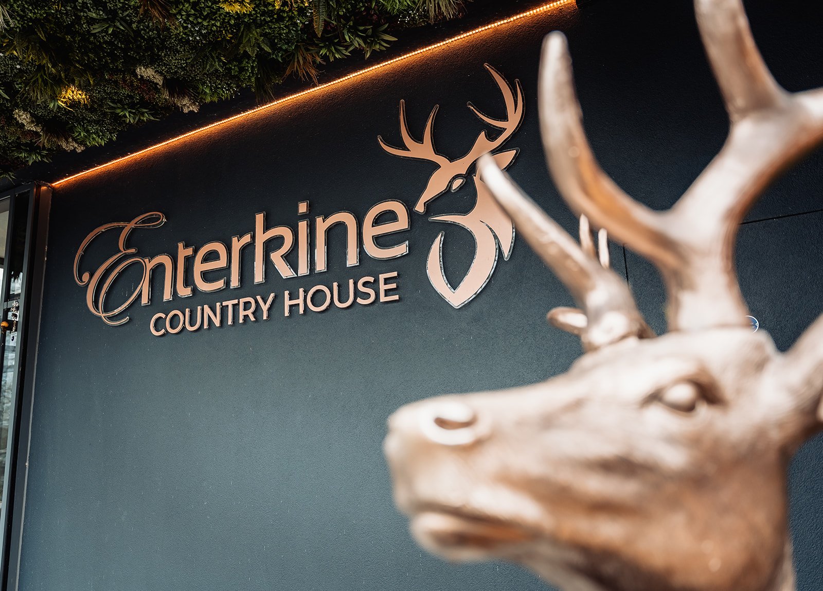 enterkine-house-wedding-venue-ayrshire-david-long-4.jpg