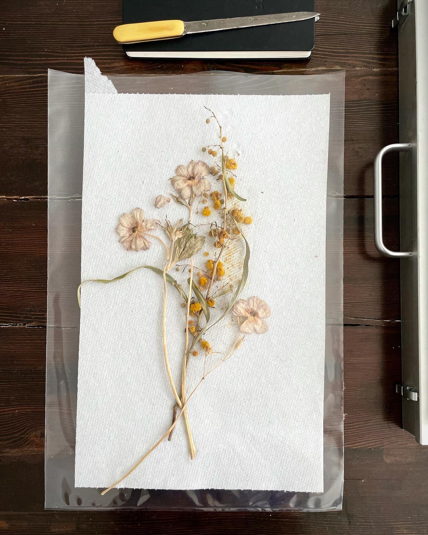 Art room project #pressedflowers #studio #art #driedflowers