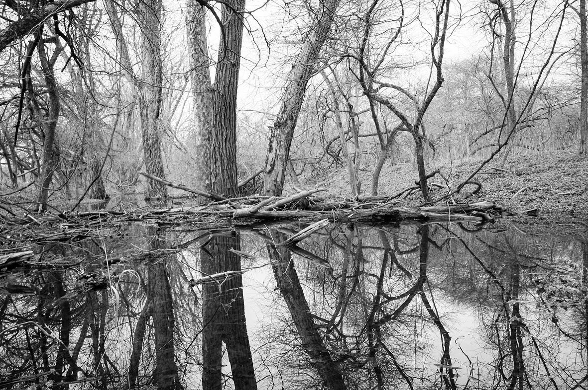 Get away. #blackandwhite #fujixpro2 #woods #childhooddream #landscapephotography #stiglmeierpark #myhome