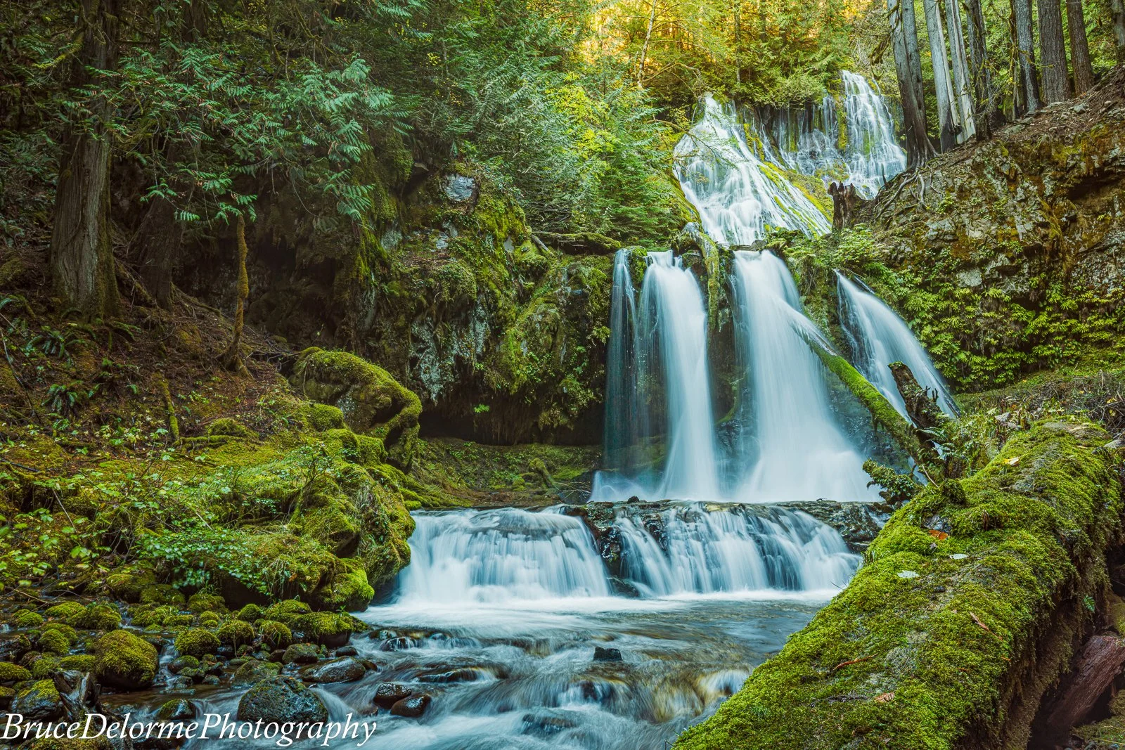 Panther creek falls is a series of 3 Falls.  The actual Panther creek is the water fall in the back, then the middle falls, and at the bottom, yup you guessed it the bottom falls.