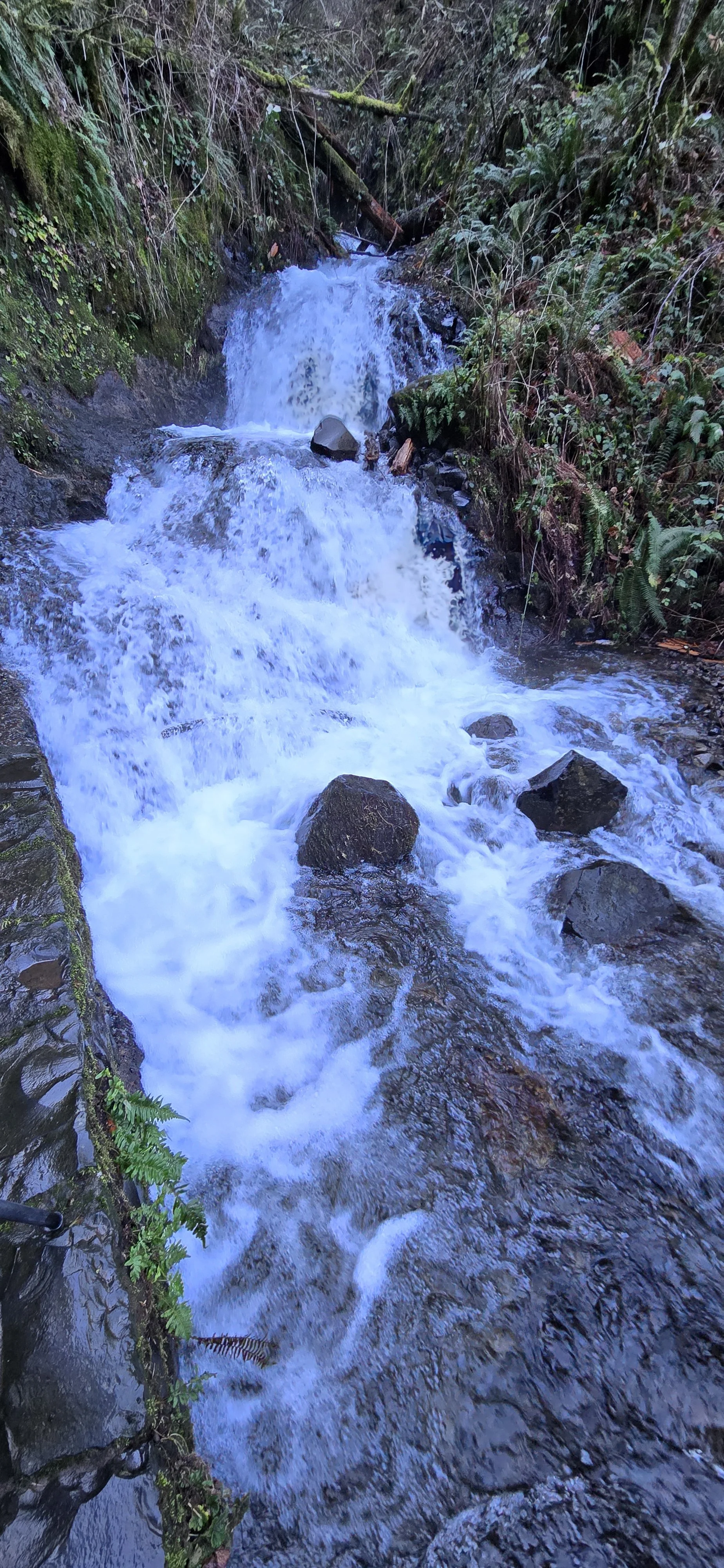 Morning at Bridal Veil Falls