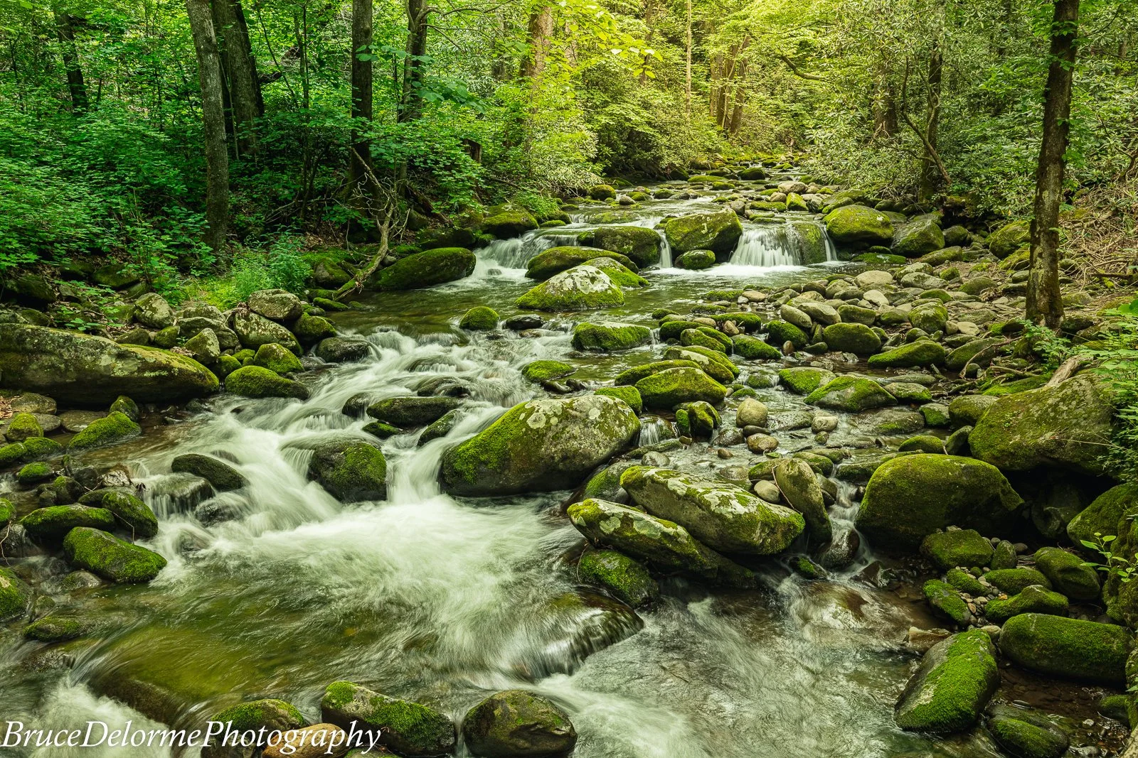 Yes, another Smokies stream