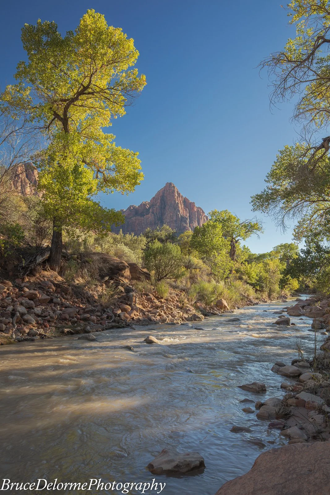The Watchman, Zion
