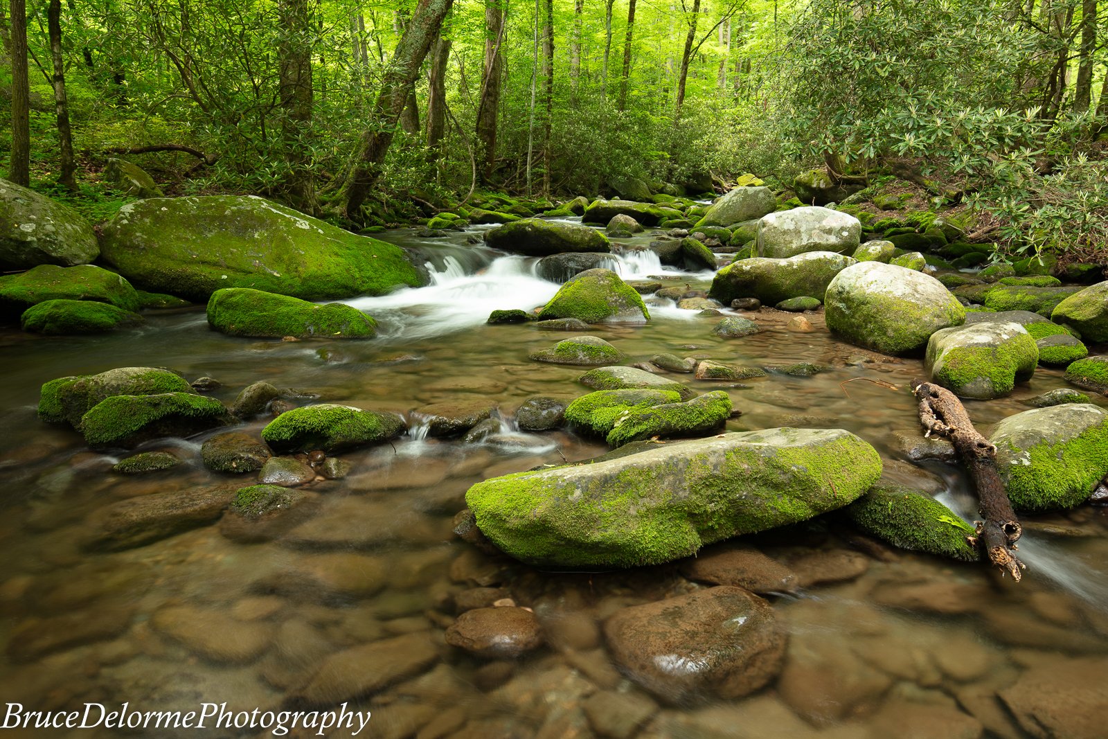 The Smokey Mountains have the most beautiful streams