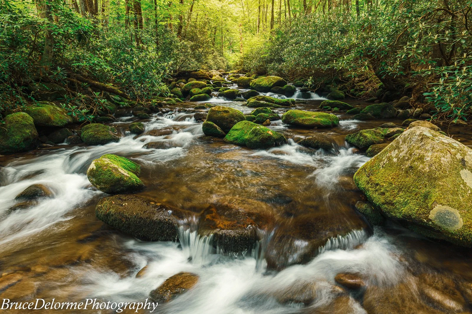 Another beautiful Smokies stream.  Stunning
