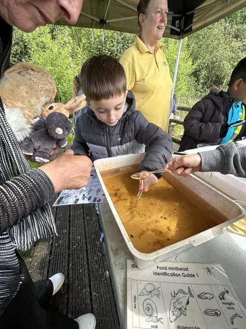 Primary M7 Education