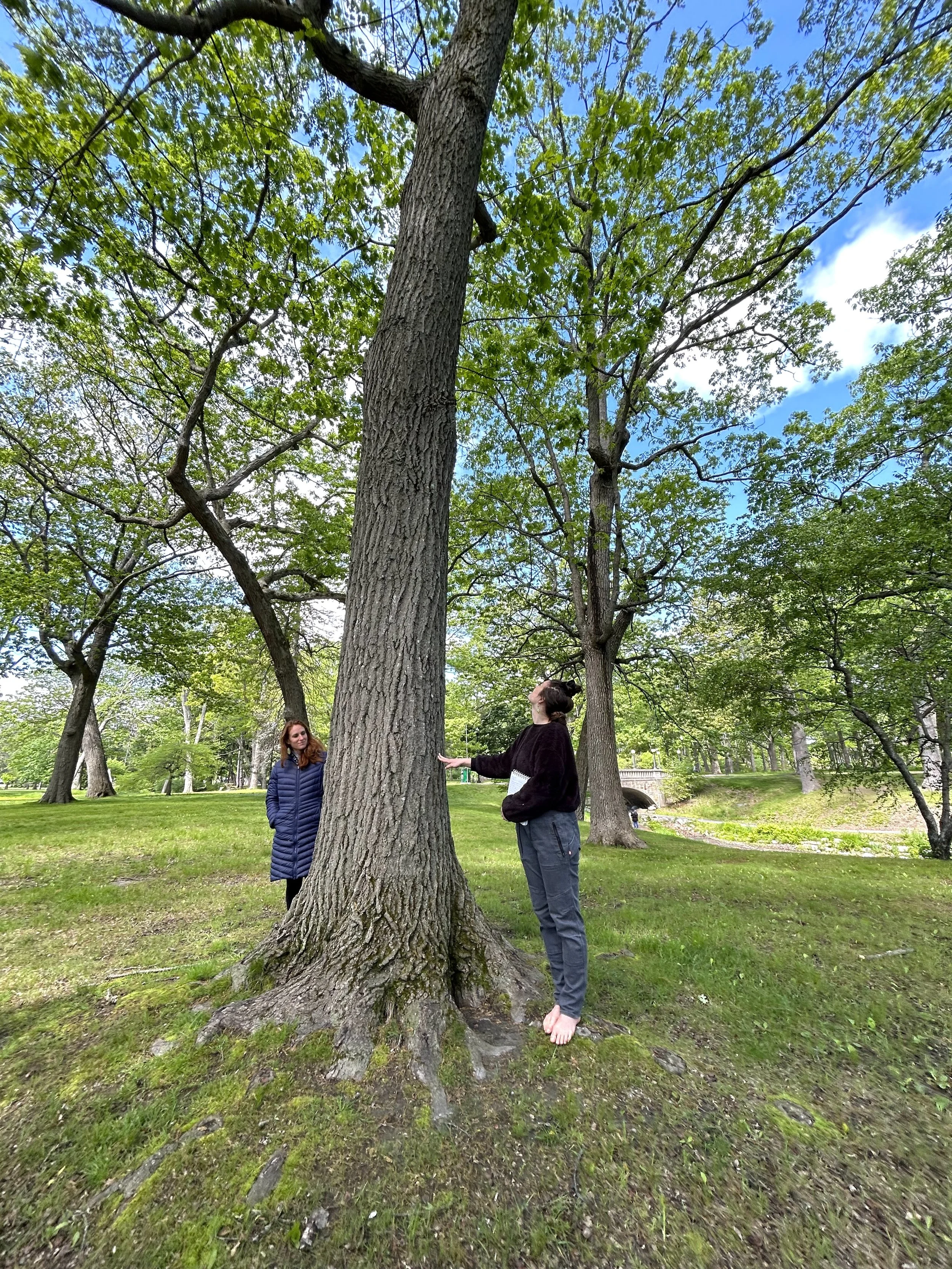 2025 Slow Blooming participants exploring a tree