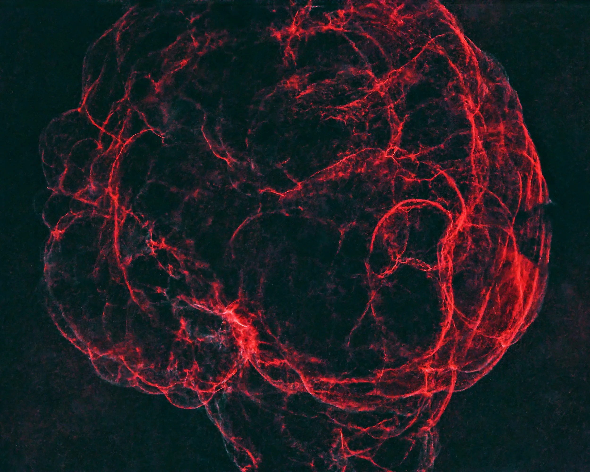 SH2-240_Askar_Abs copy.jpg