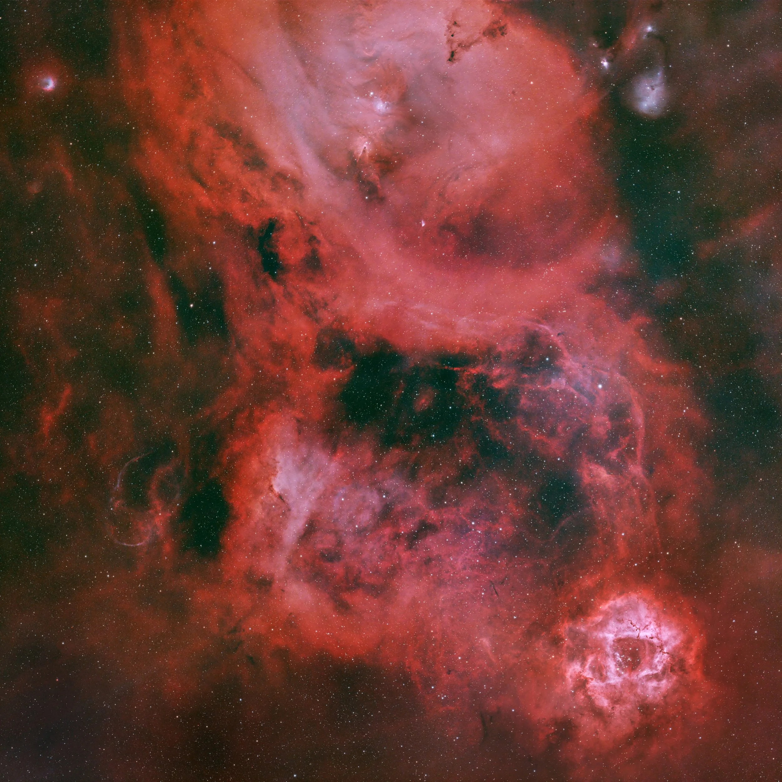 Monoceros