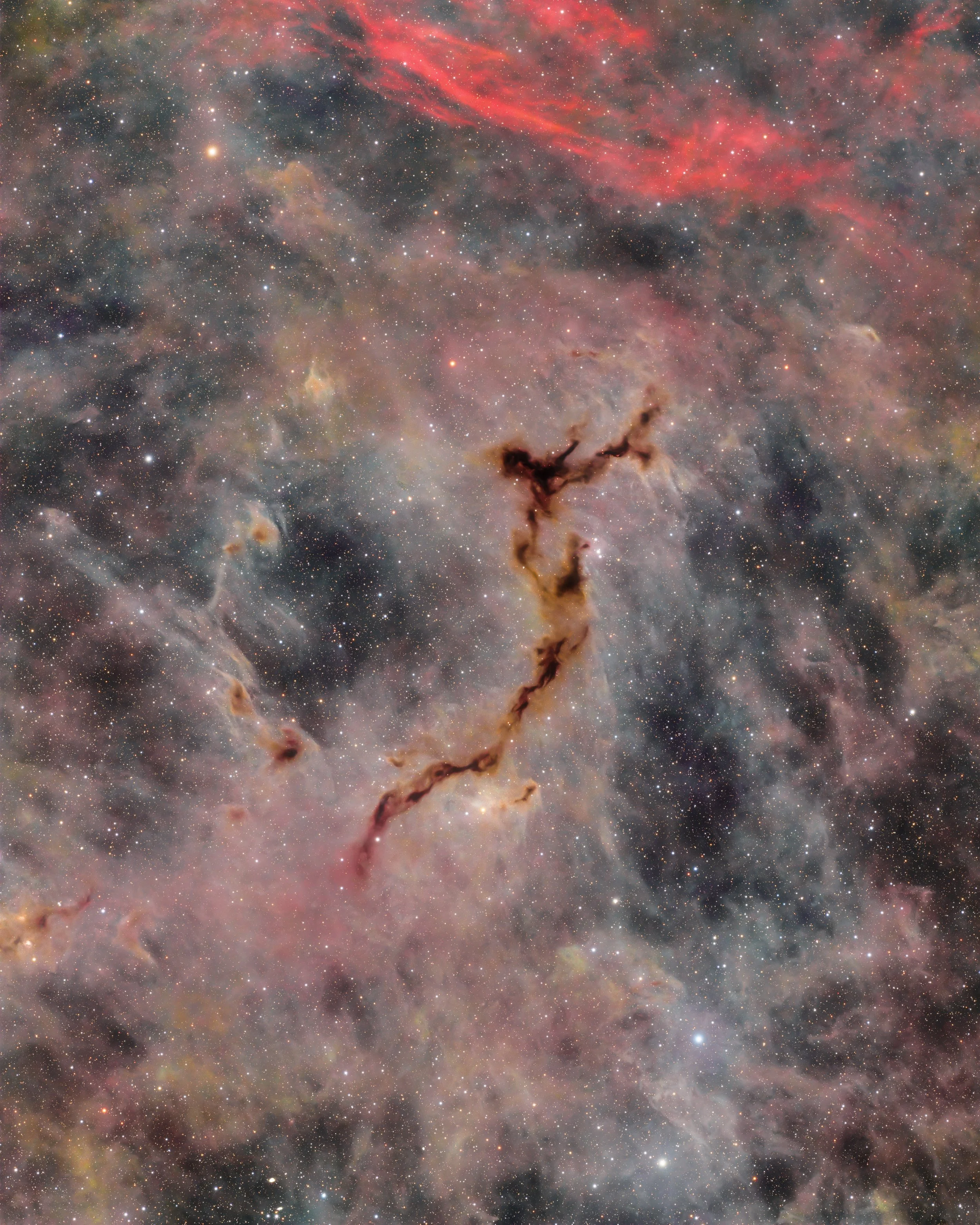 "Seahorse Nebula" (vdB-156)