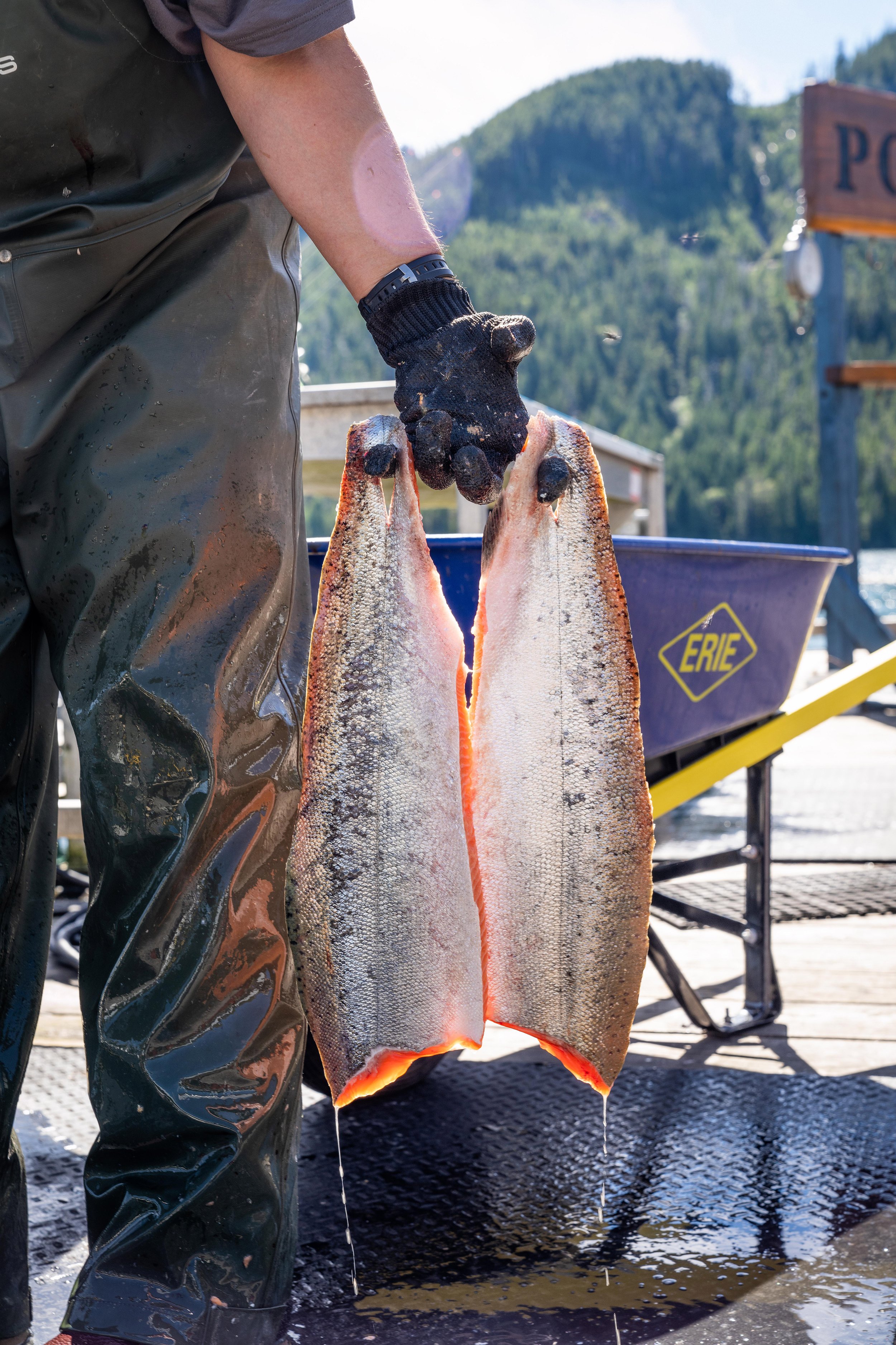 chasewhite-portelizalodge-aug2021-78.jpg