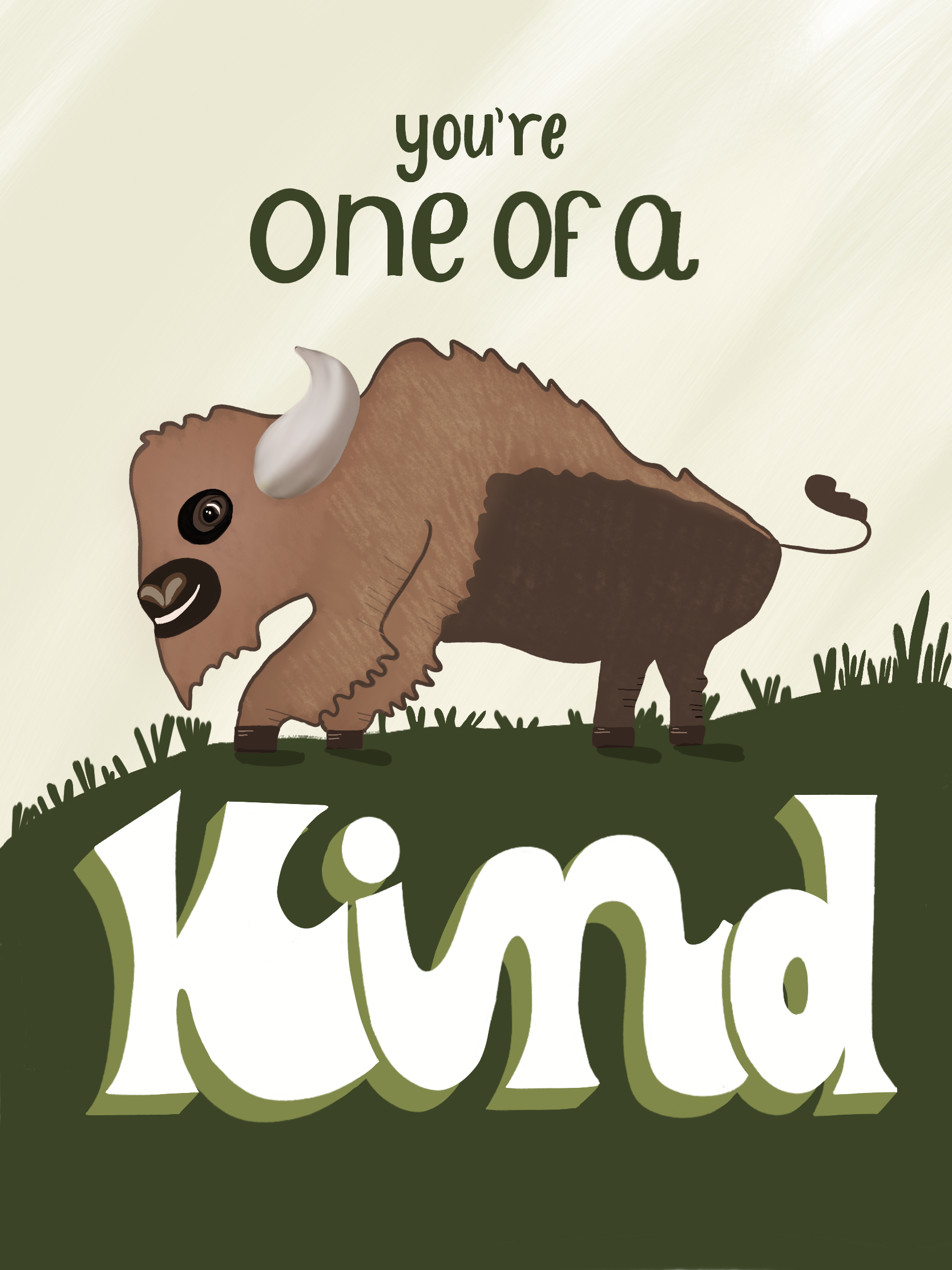 Bison fix- first page.png