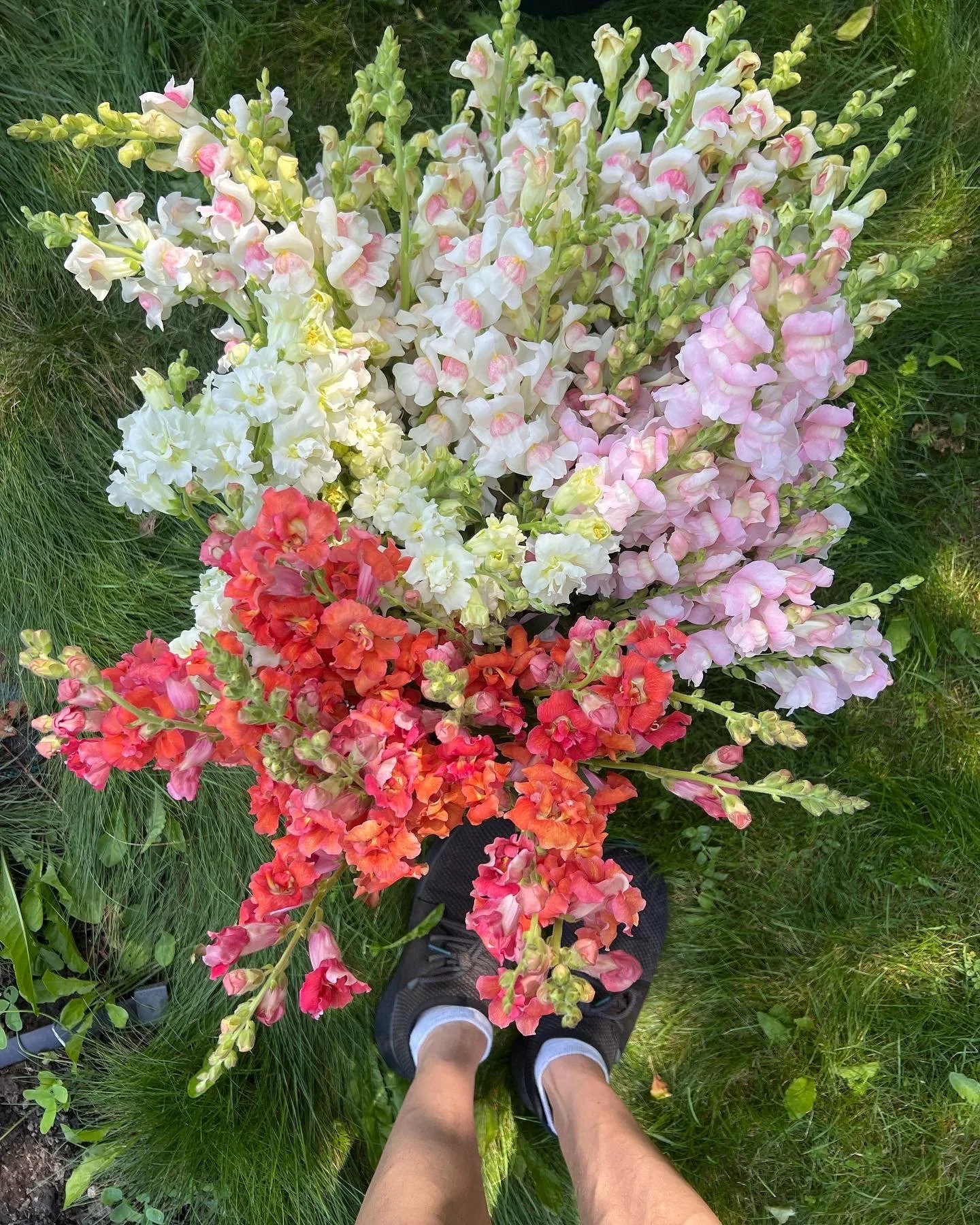  Sustainable Wedding Florist in Pickering