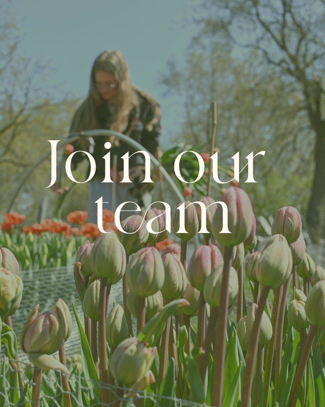 Join our team for the season! 

We're looking for a part-time farm worker/ bloom harvester, with a commitment of 10-15 hours per week. 

No prior experience necessary, although it's certainly a plus. 

You should be comfortable working outdoors, even