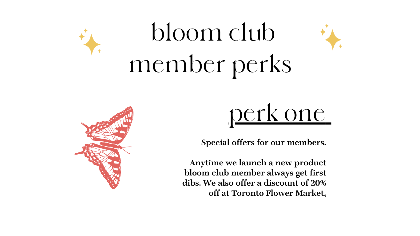New this year bloom club PERKS (3).png