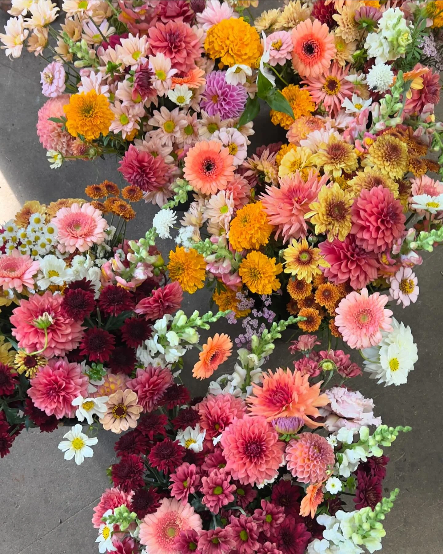 Tomorrow for @torontoflowermarket 🍂🍂🍂🍂

See you there xx