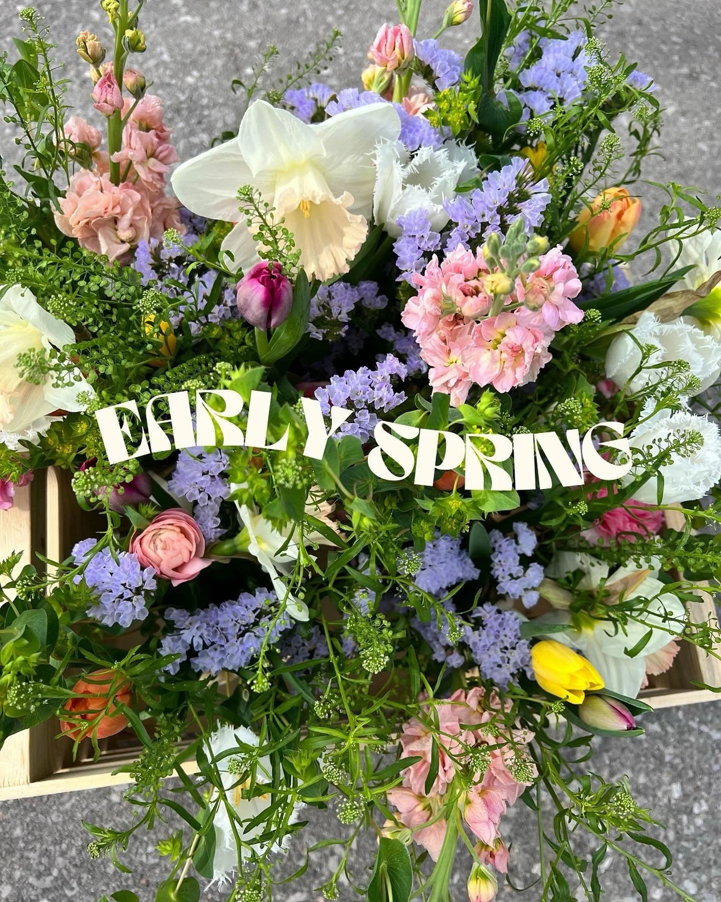 It&rsquo;s all begins in the spring&hellip; 

The first bouquet of the Heirloom Bloom Club is such a welcome gift of spring after such a long drab winter. 

I cherish these blooms even more because of how they make me have a renewed sense of hope. Th