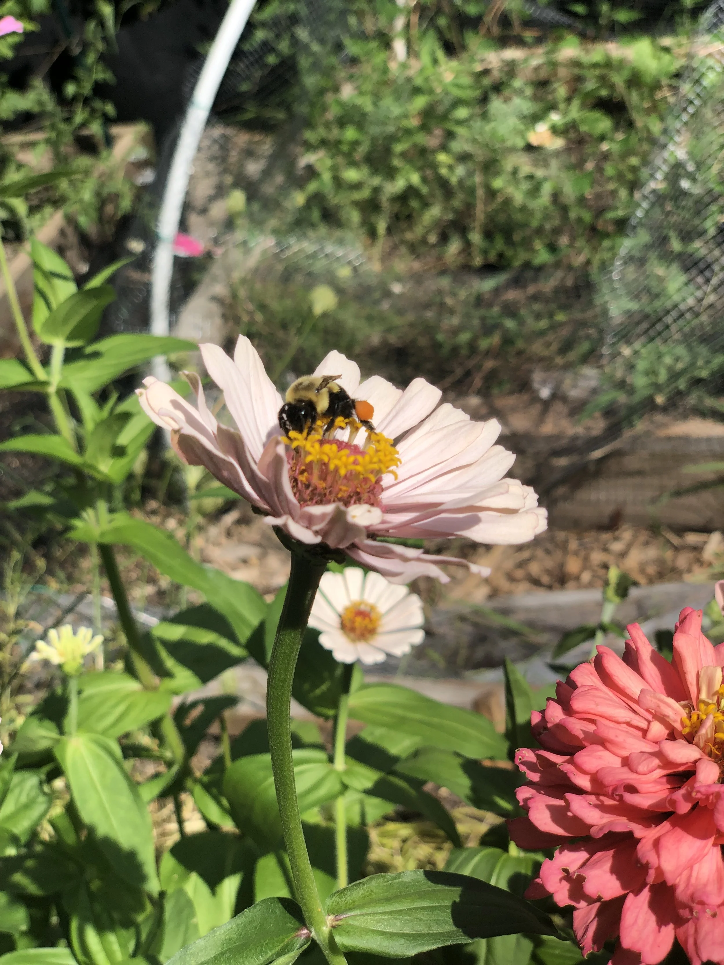 IMG_8147.jpeg
