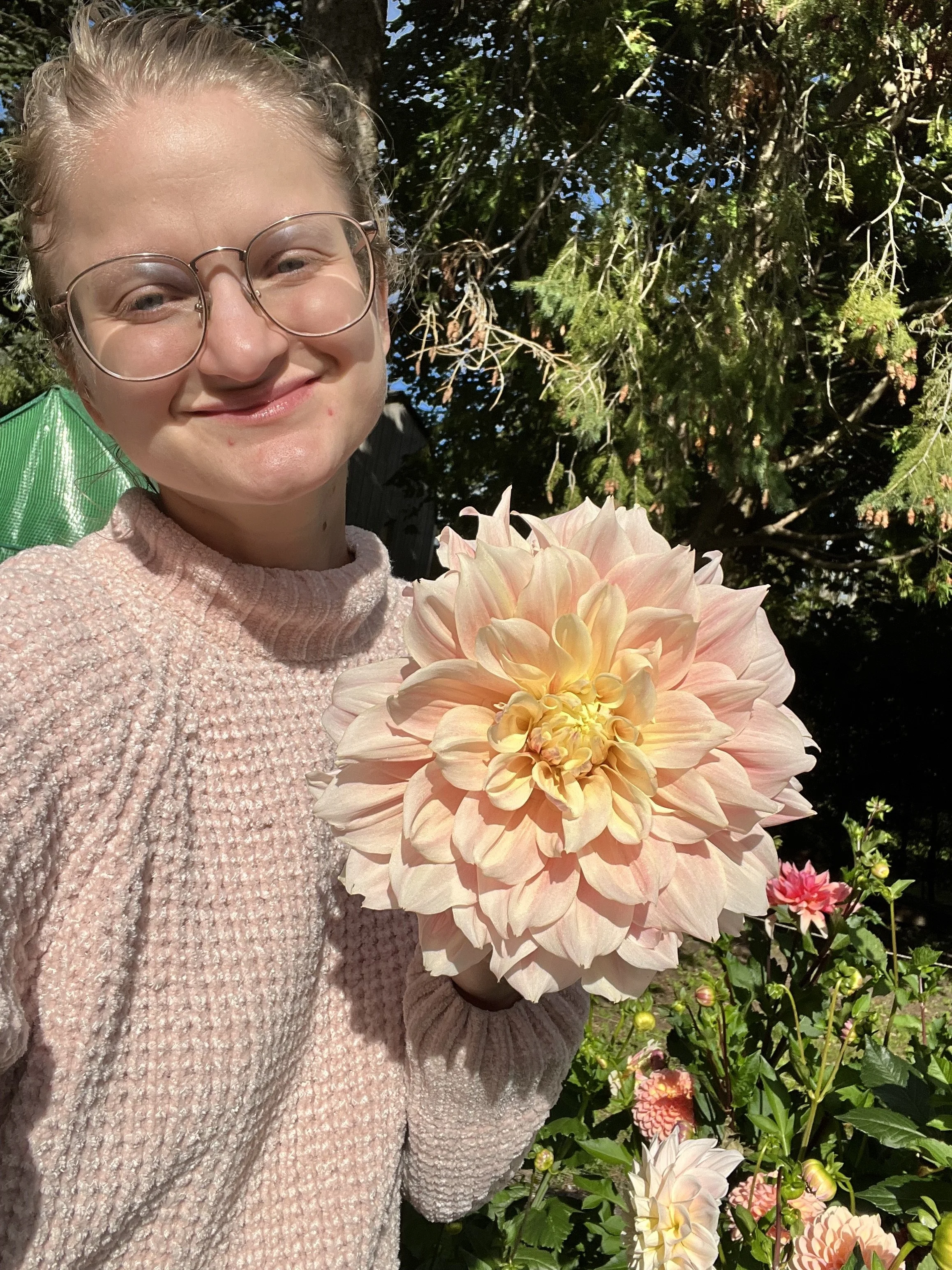 A young woman with glasses, wearing a pink sweater, smiling and holding a large, pale peach-colored dahlia flower outside in a garden with other blooming flowers and green trees in the background.