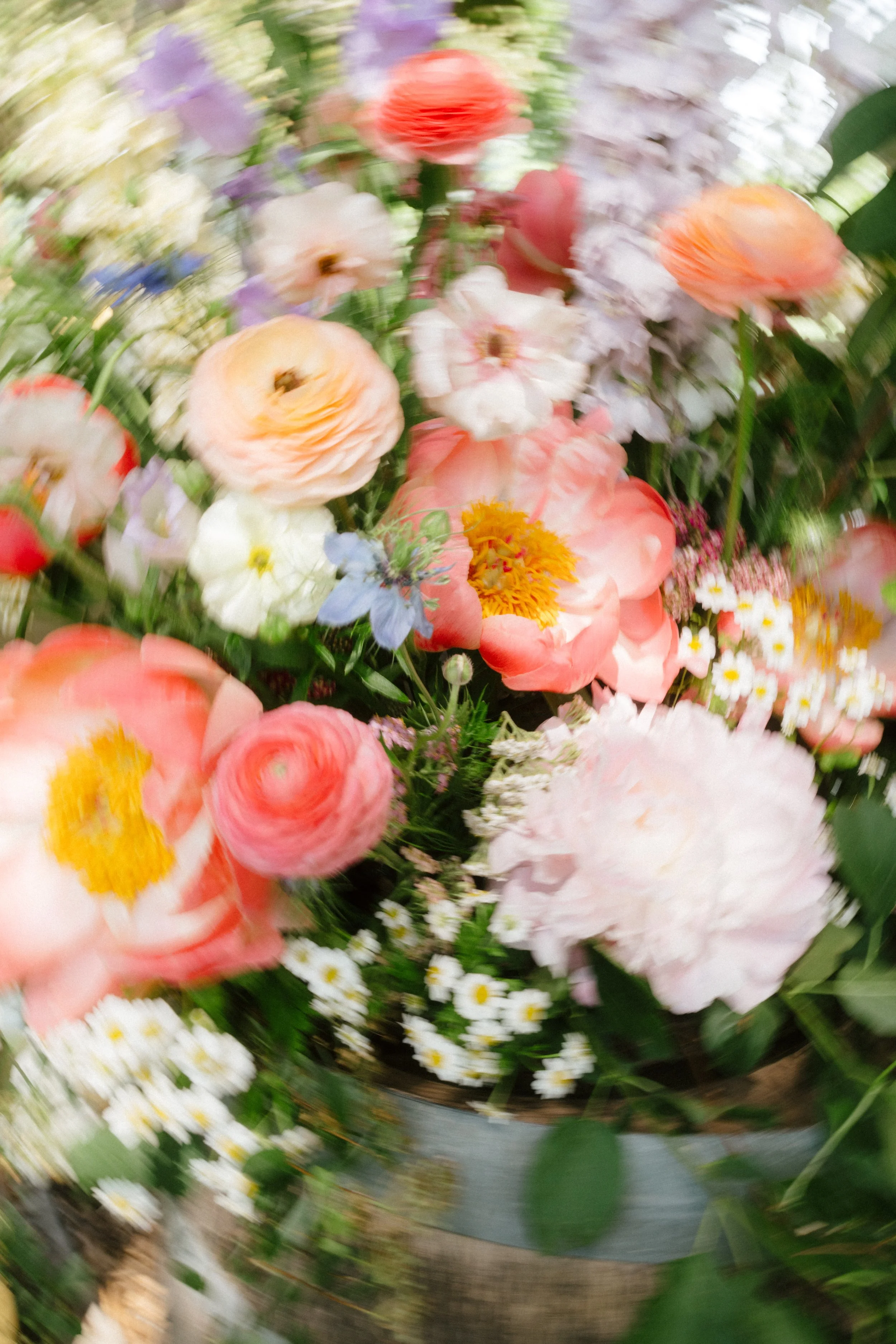 Shot by jaclynrothphotography