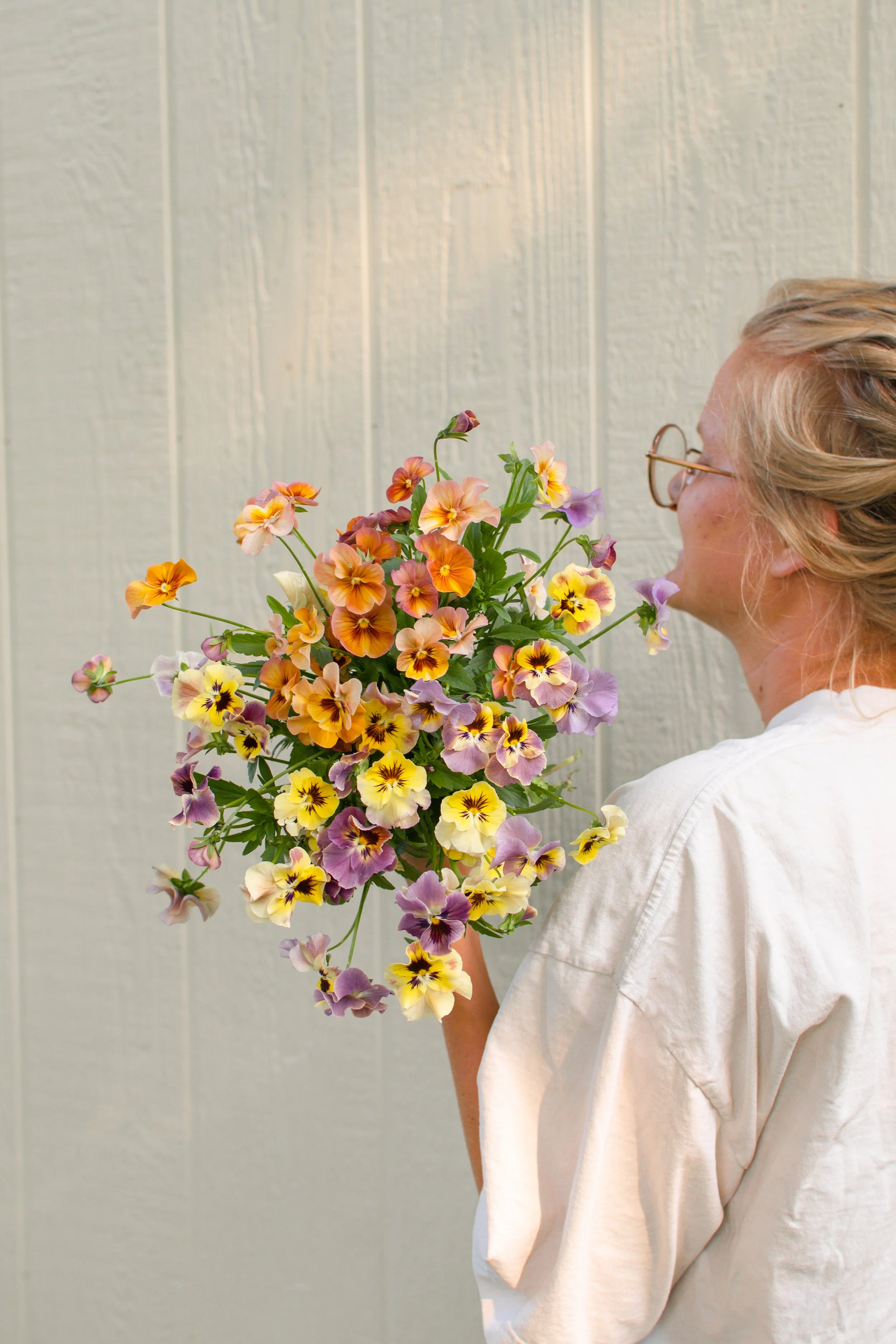 Pansy_Heirloom_heather Flower farm