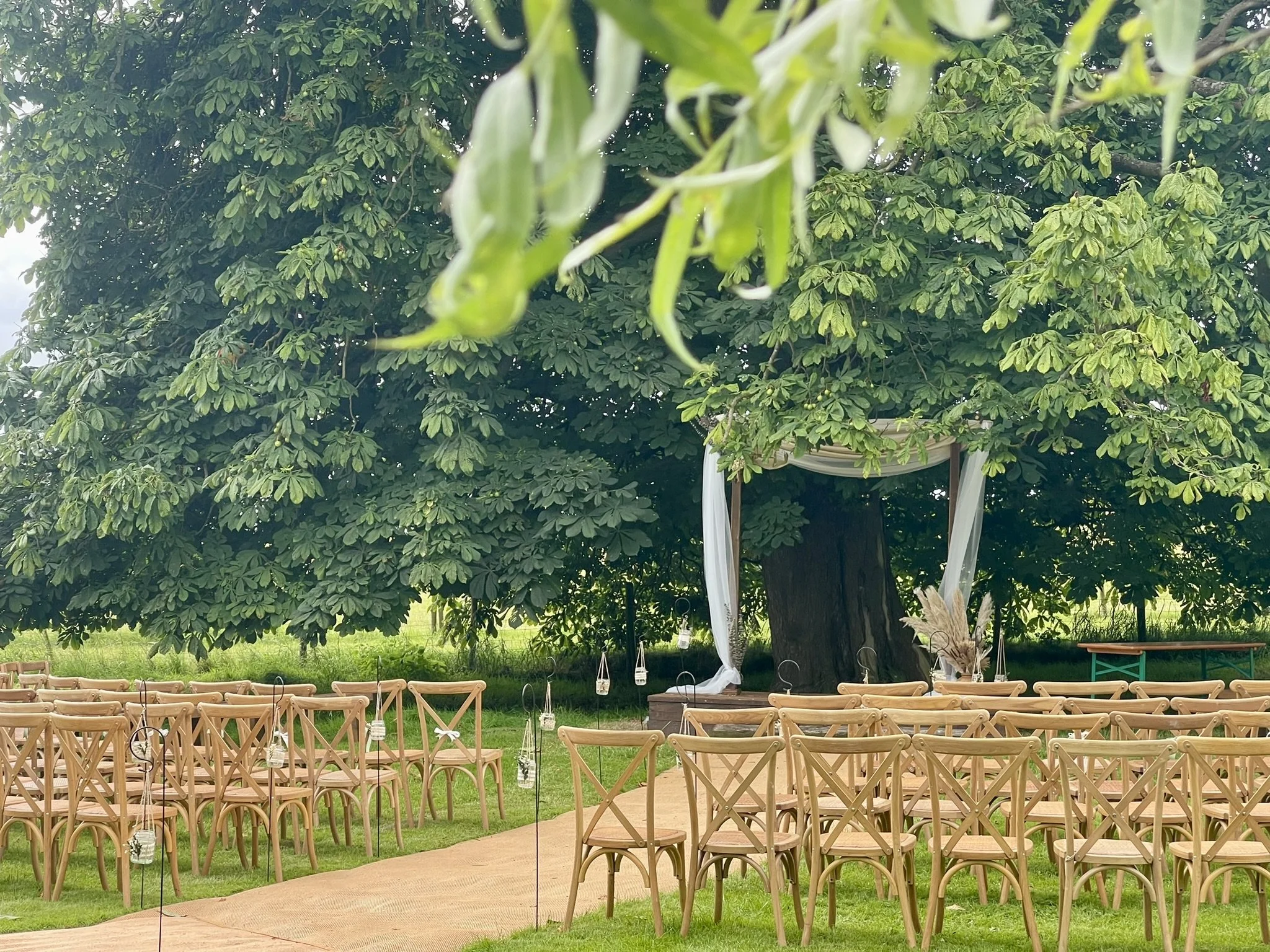 Outdoor wedding ceremony setup with wooden chairs facing a large tree, decorated with draped fabric and lanterns hanging from branches.