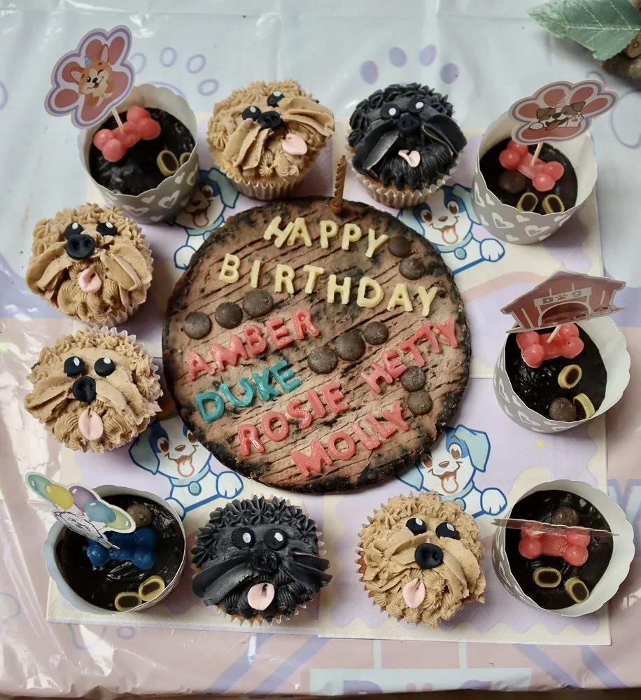 Venue Hire for Dog Parties and Socials