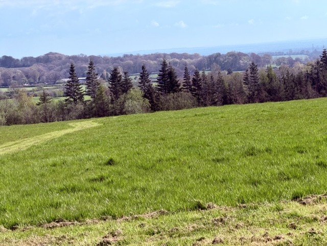 Hill top stunning views