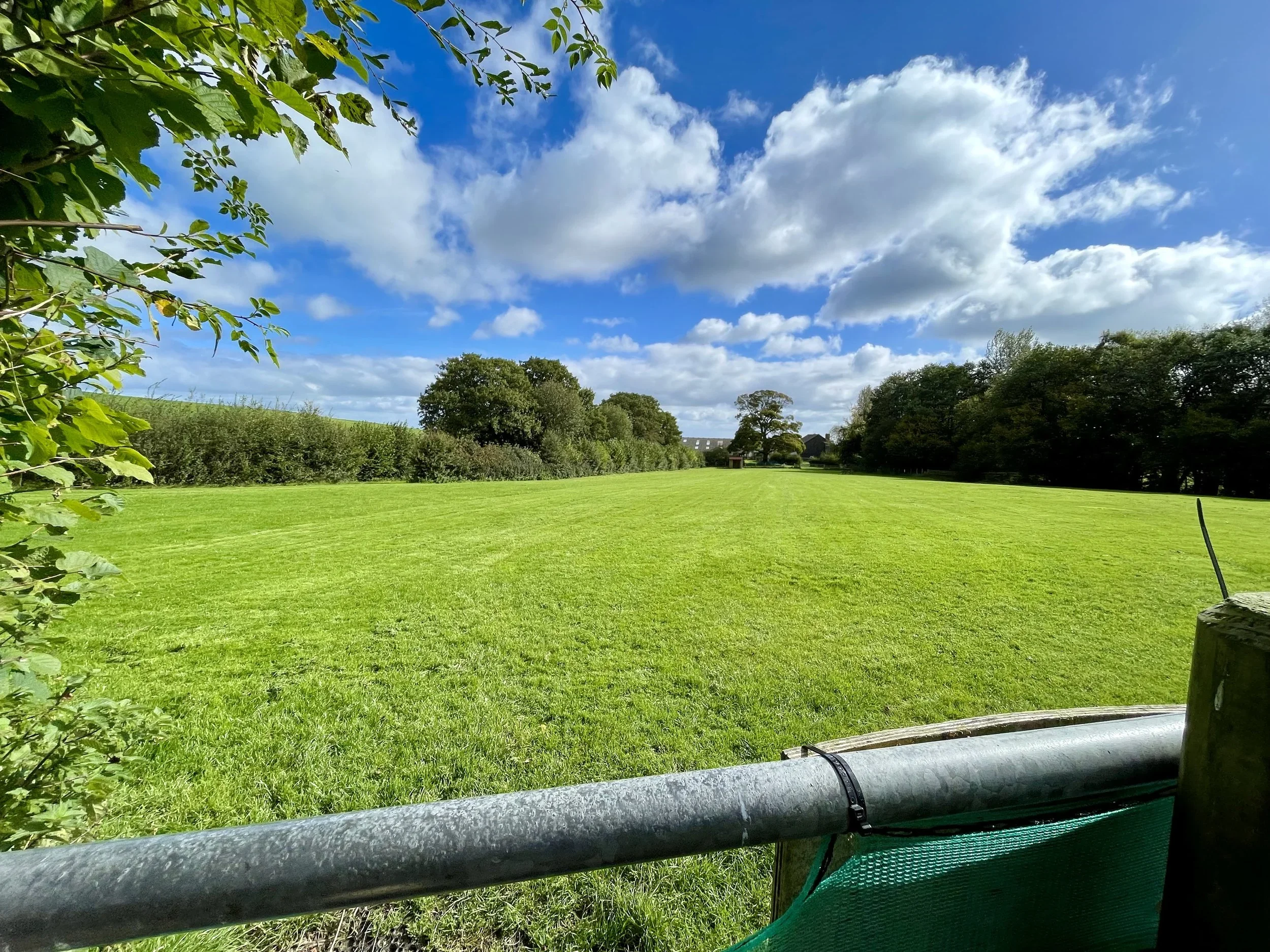 Picture of large green field