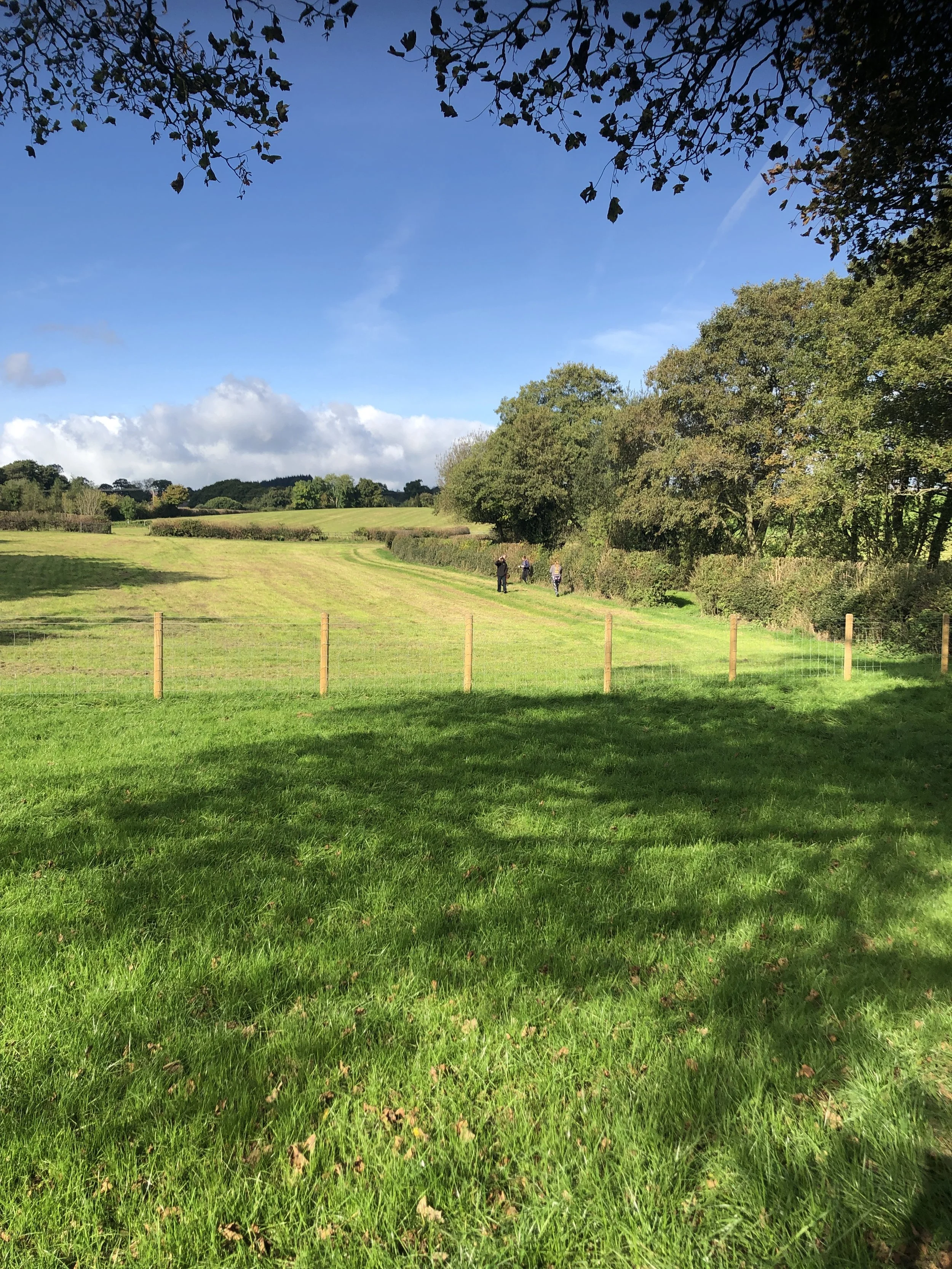 Sunny countryside landscape with a grassy field, trees, and a group of people walking in the distance. Blue sky with clouds and shadows of tree branches in the foreground.