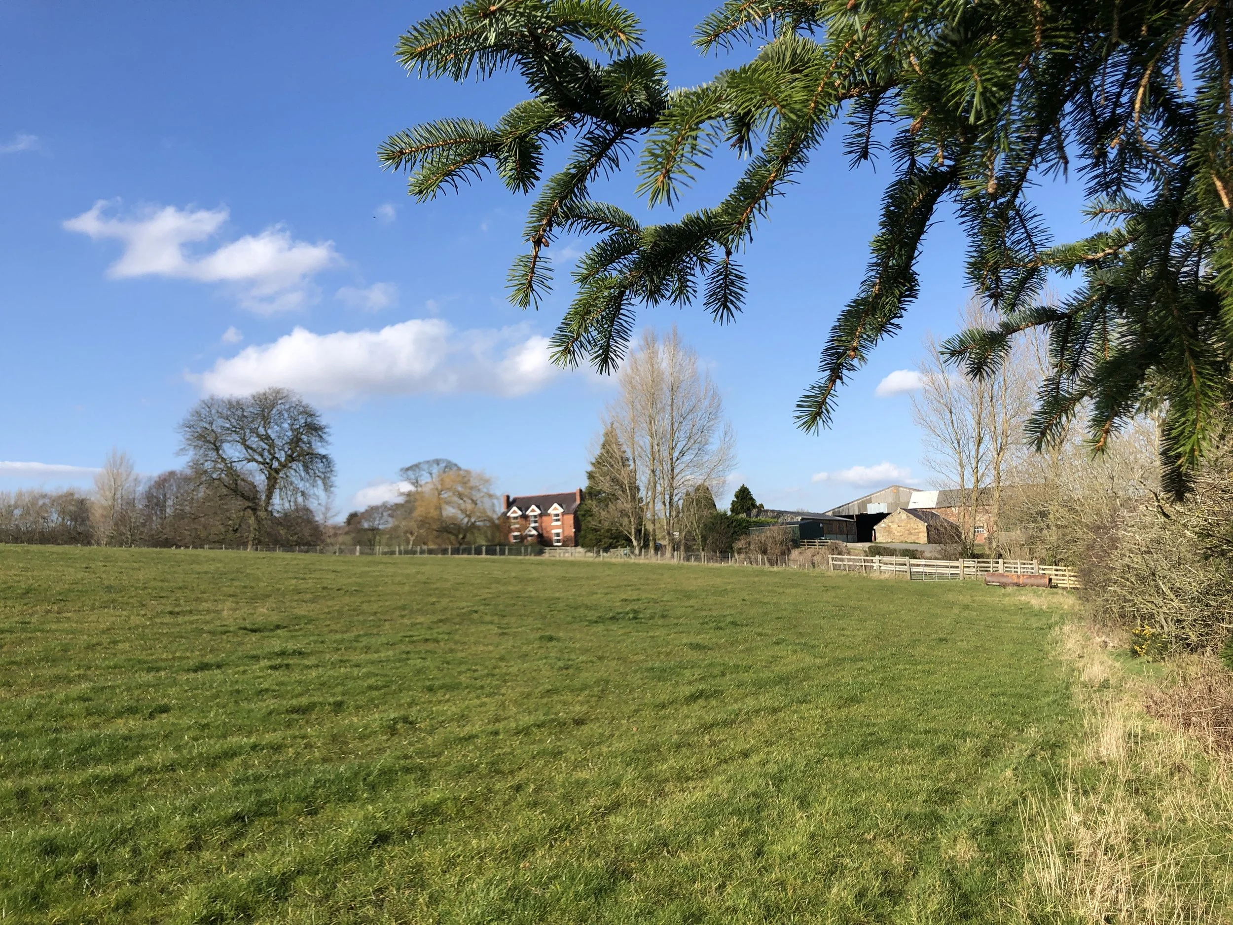 Countryside scene with green field, trees, and distant buildings under blue sky with clouds.