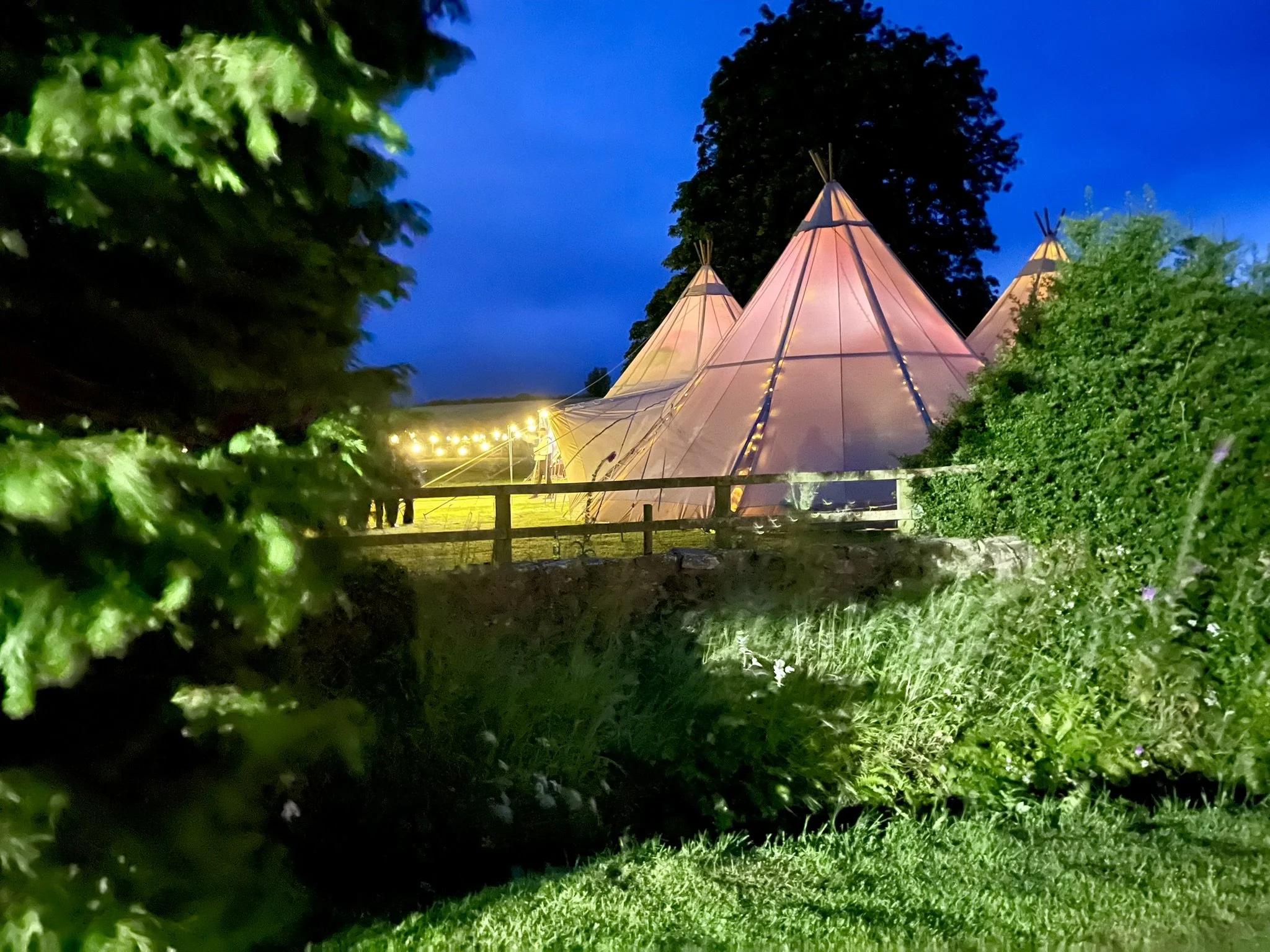 Illuminated tents in a garden setting at dusk, surrounded by trees and greenery.