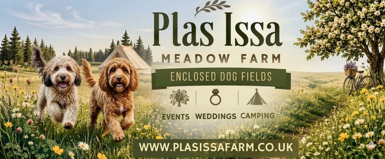 Plas Issa Farm