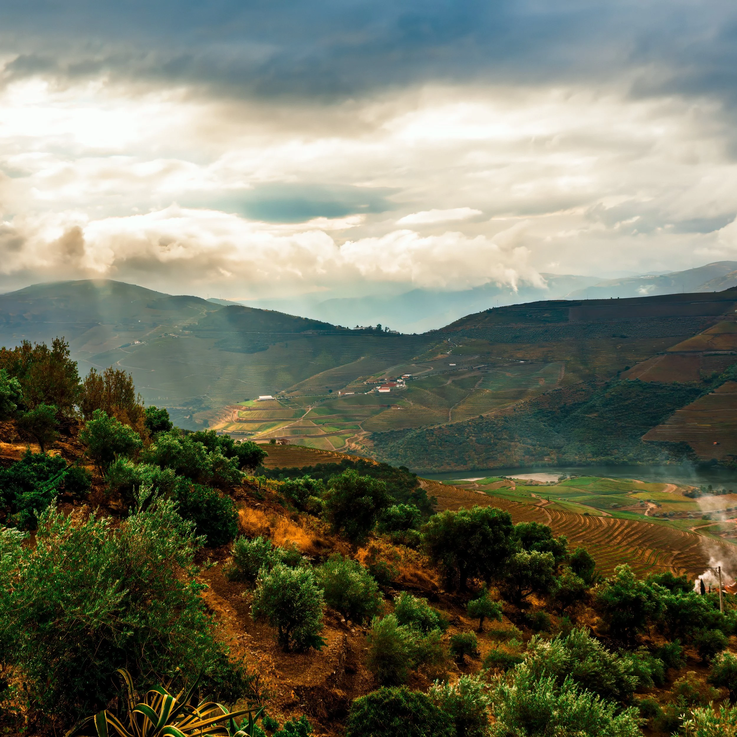 Douro_ValleyLandscape_sq.jpg