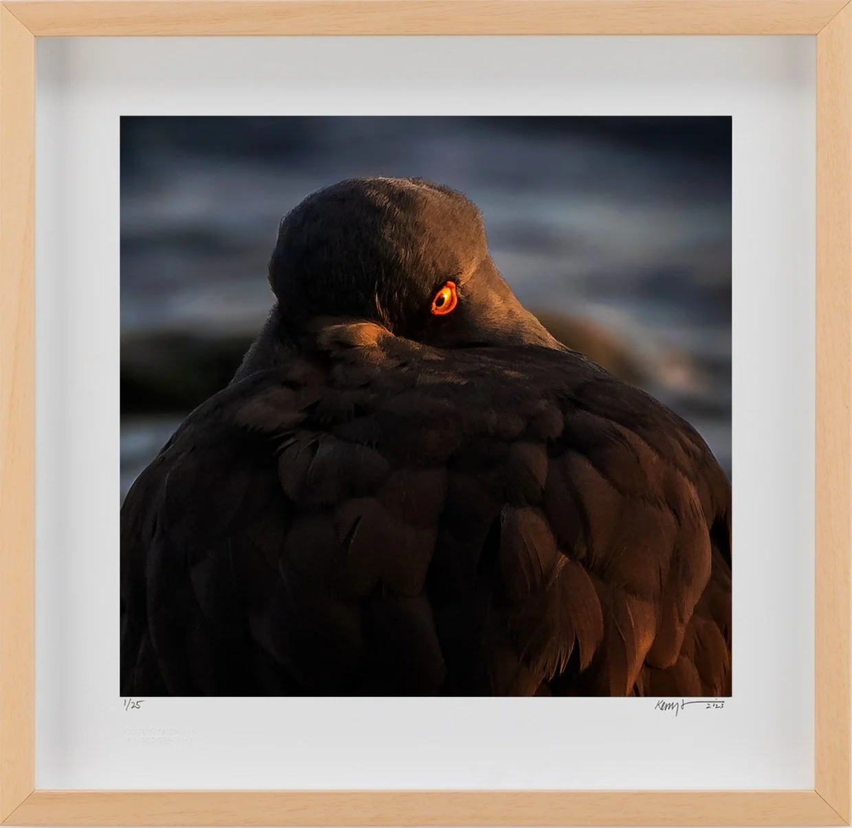 Framed Exhibition Prints