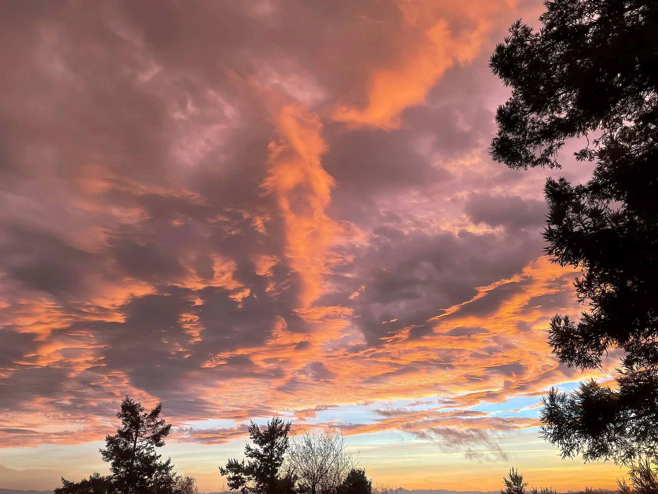 Sunrise, Port Townsend