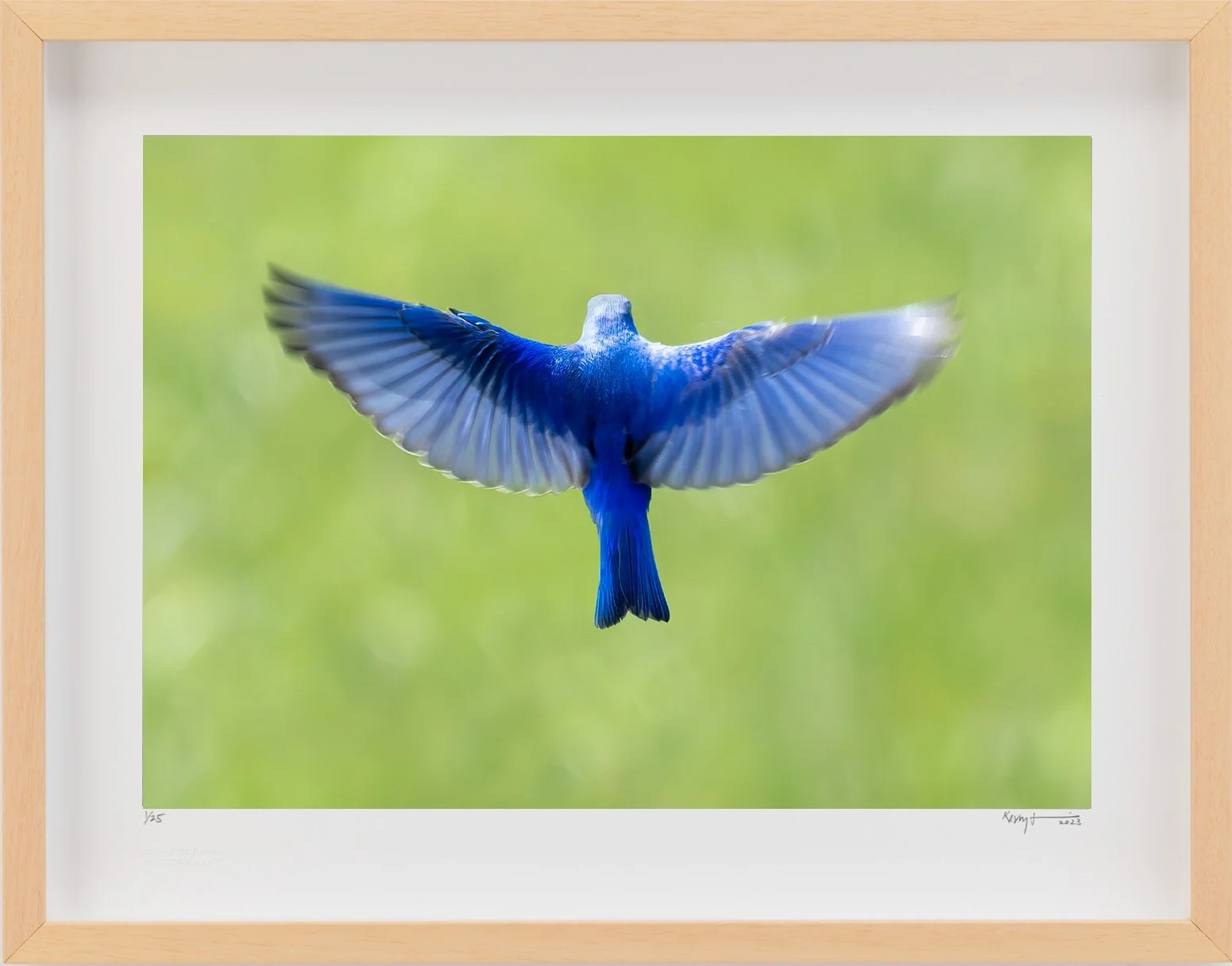 BlueAngel.jpg