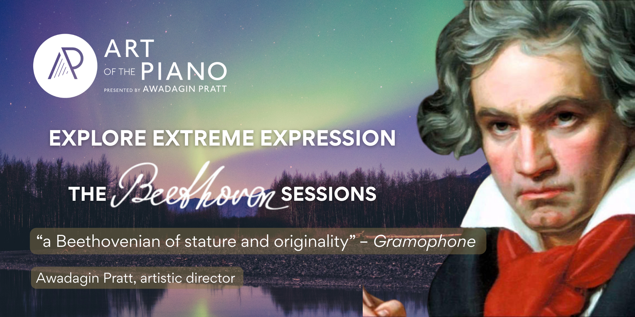 Art of The Piano 