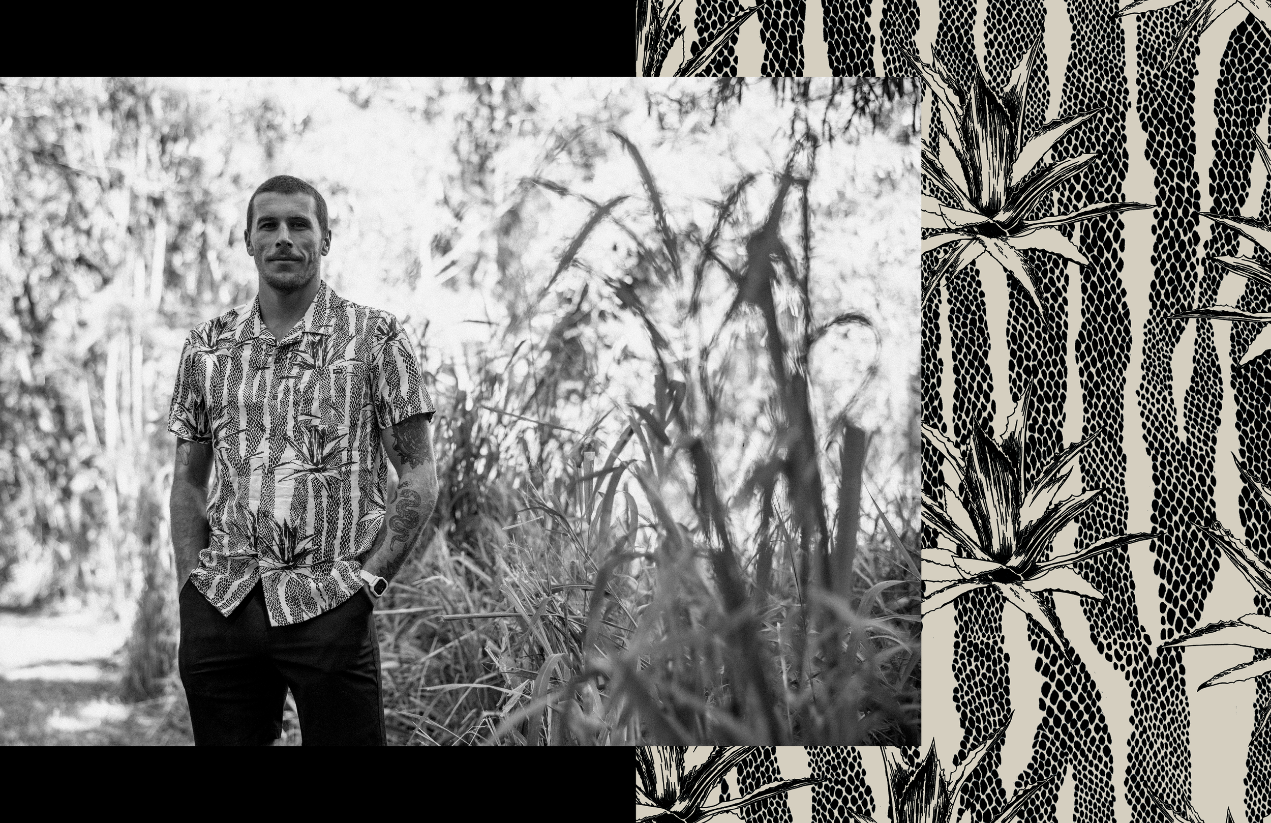 DE AGAVE FREESTONE.png