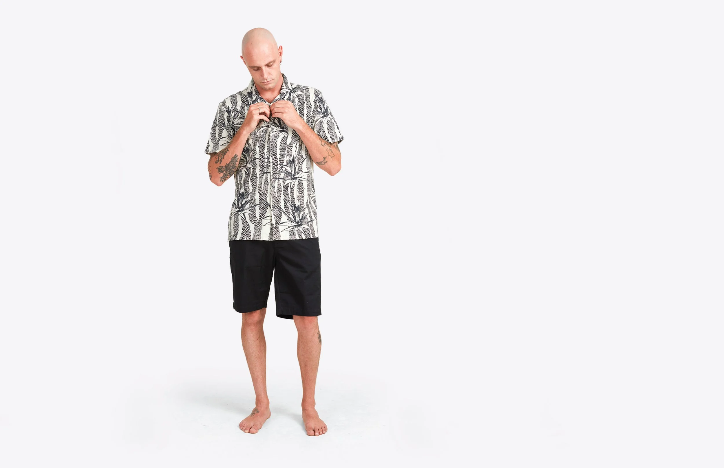 DE AGAVE CREED 2.jpg